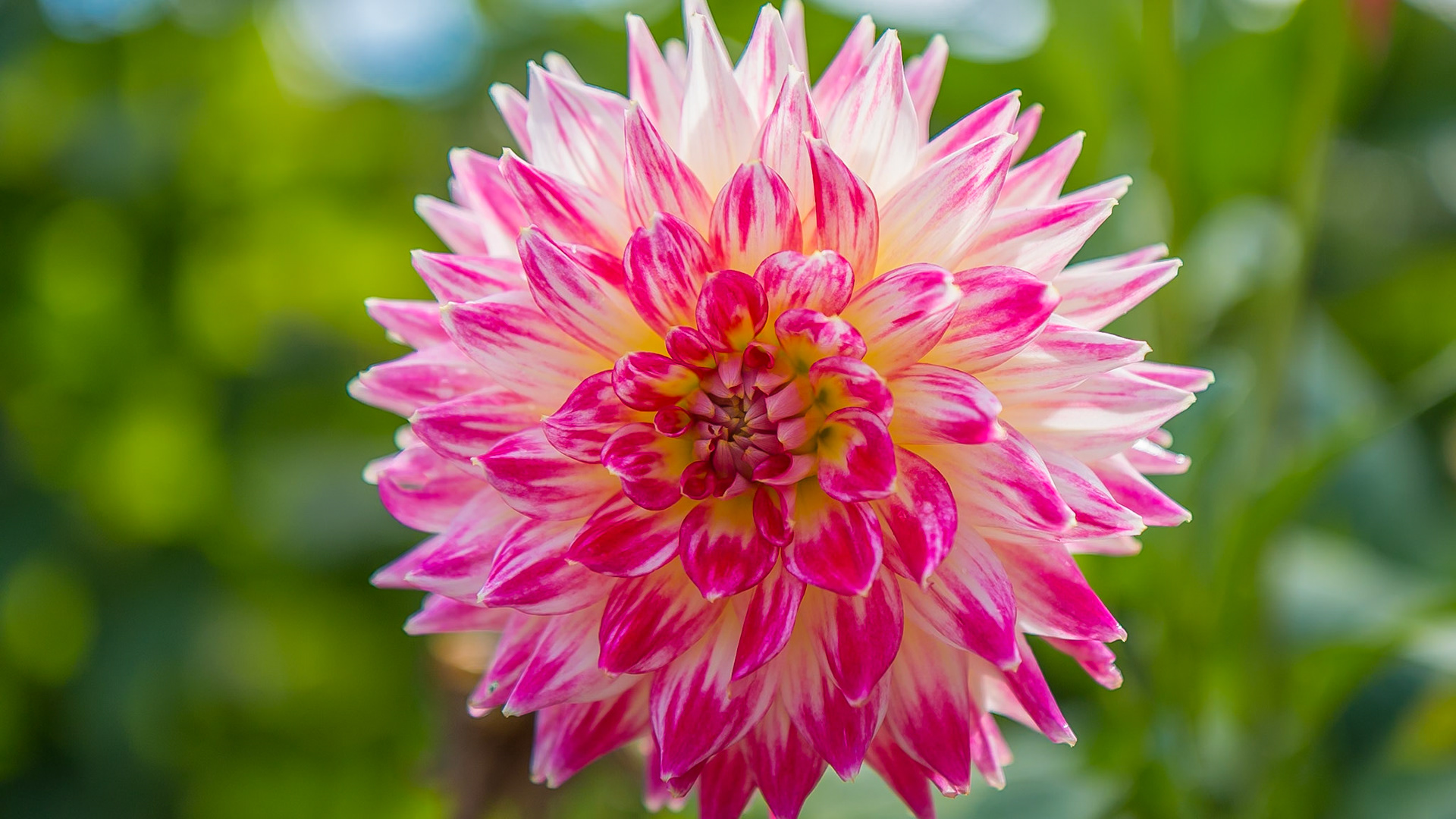 Vollenhoven - Utrecht, The Netherlands (2014)