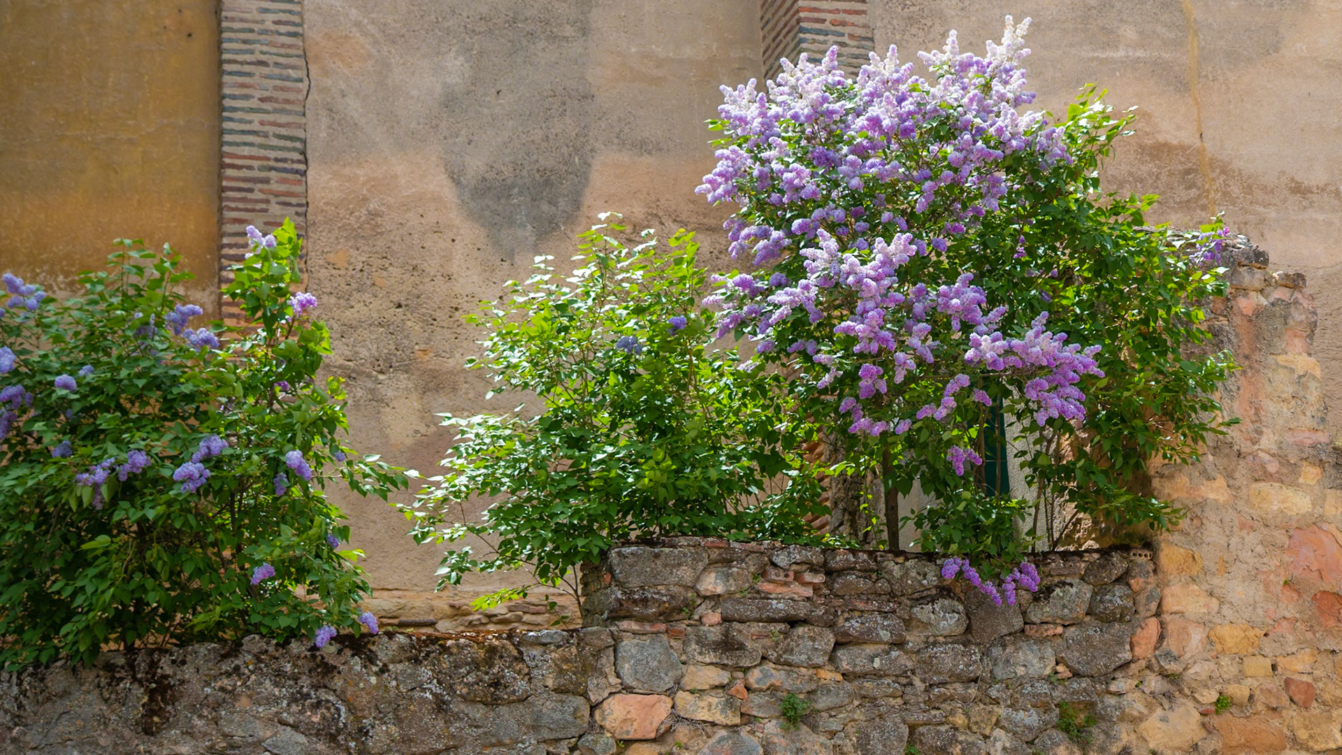 Madrid, Spain (1018)