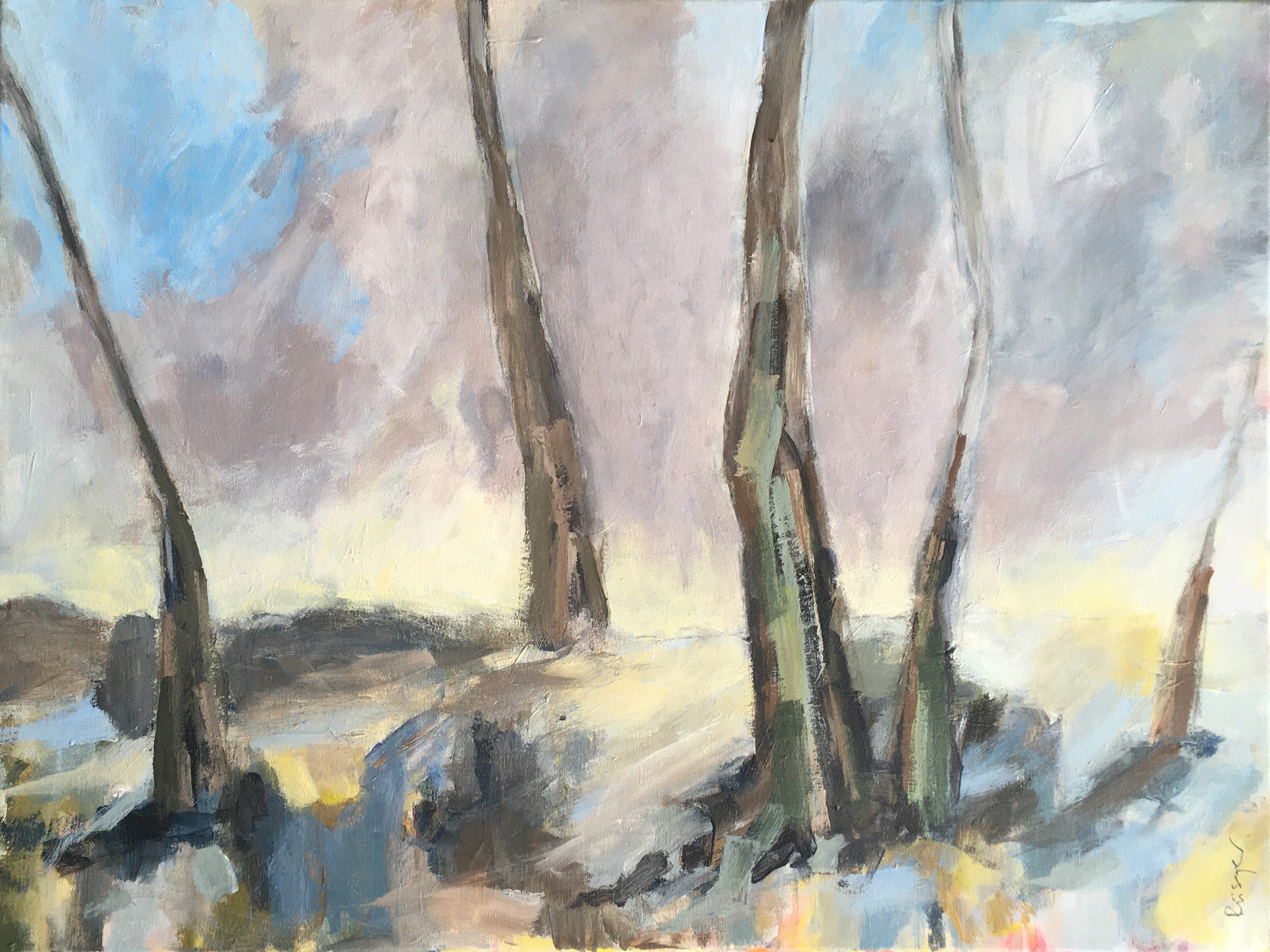 80x60