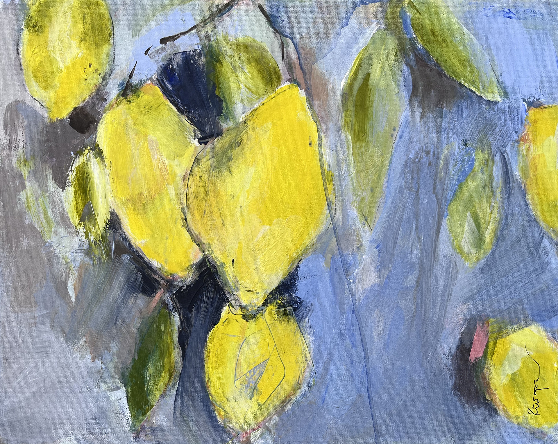 50x40