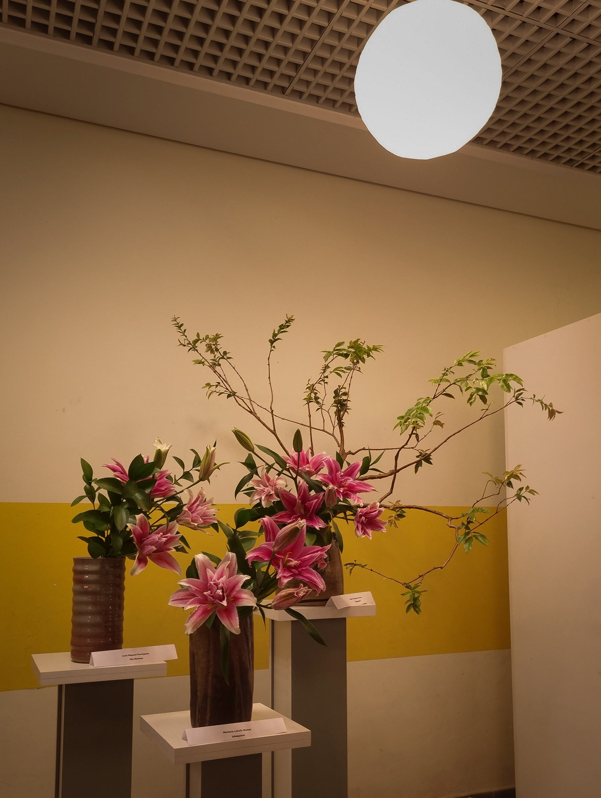 Ikebana de Mariana Lotufo. Autor: Natália Perez.