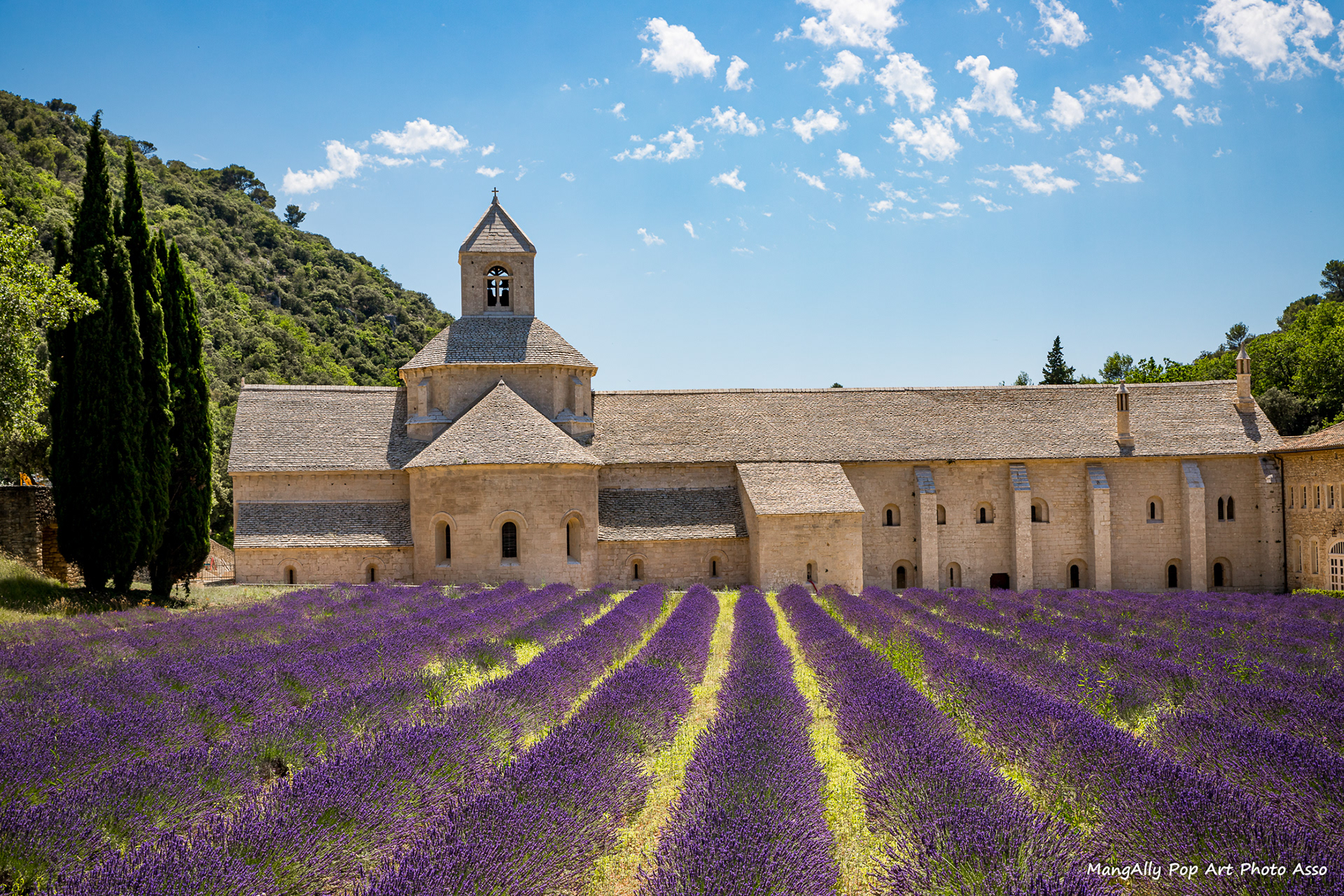 Abbaye Notre-Dame-de-Sénanque, Vaucluse