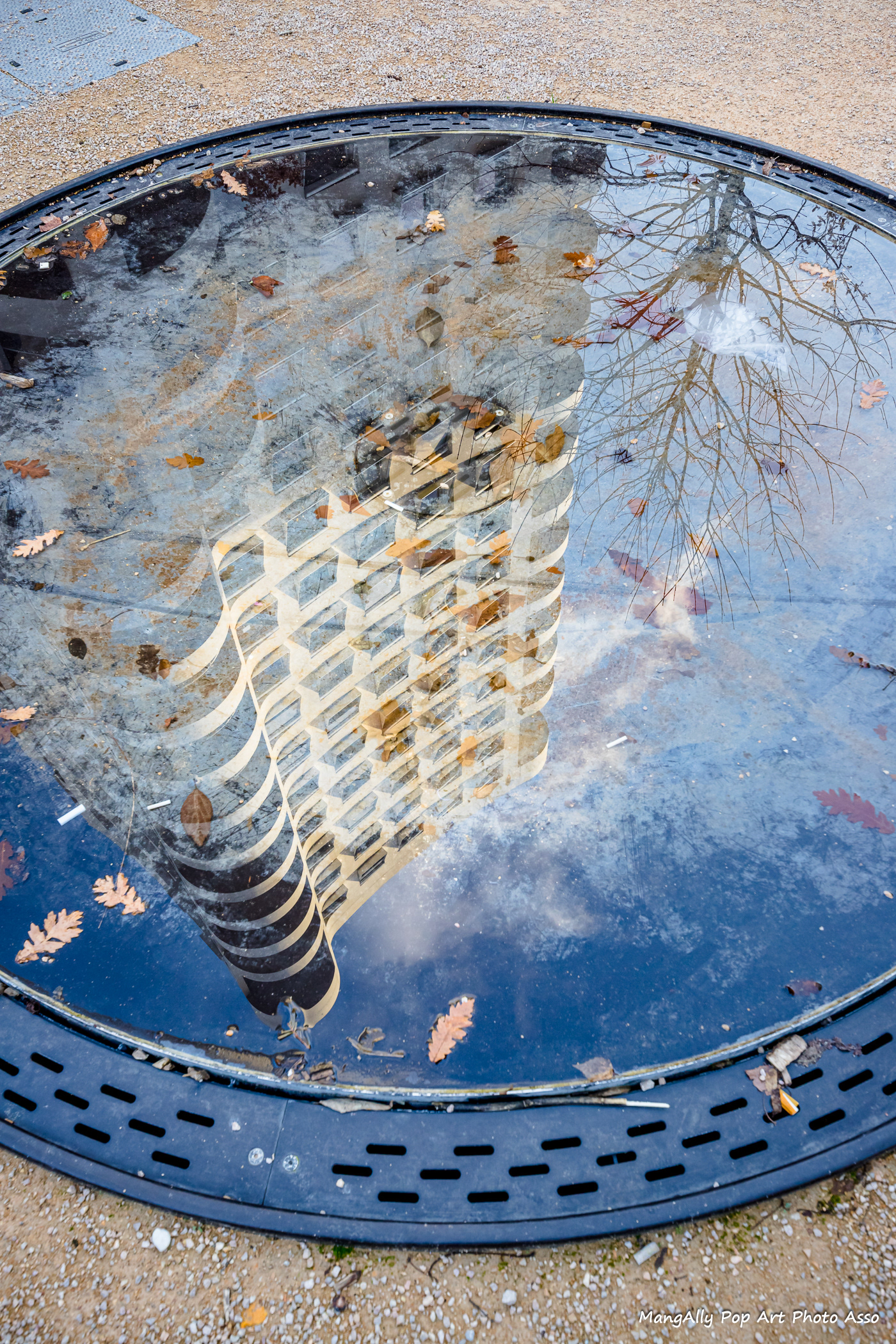 Reflets Quartier Confluence, Lyon