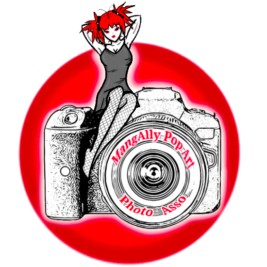 Logo Association photographique MangAlly Pop Art Photo Asso