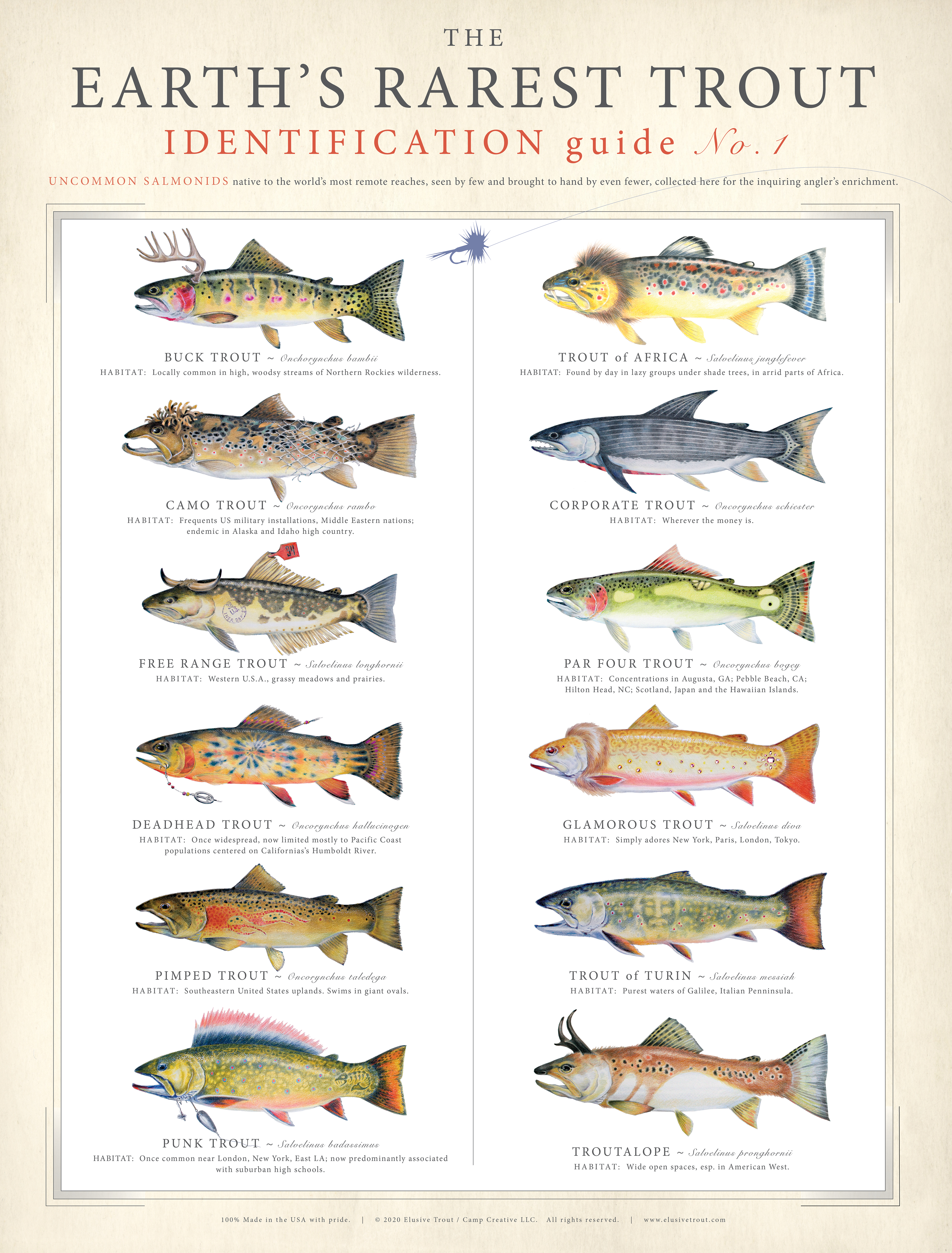 Elusive Trout –  Poster Design for sale
