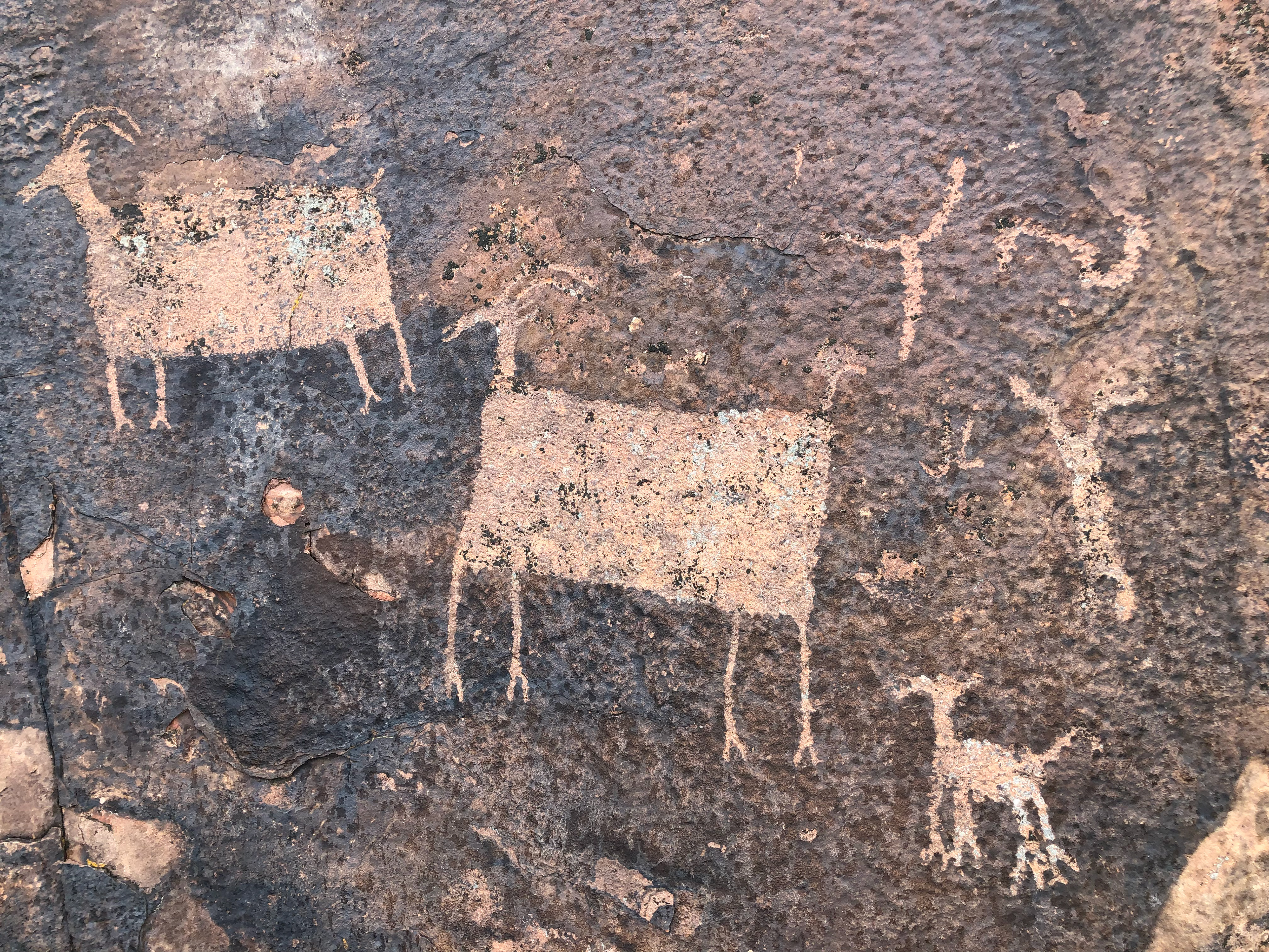 ancient tribal graffiti