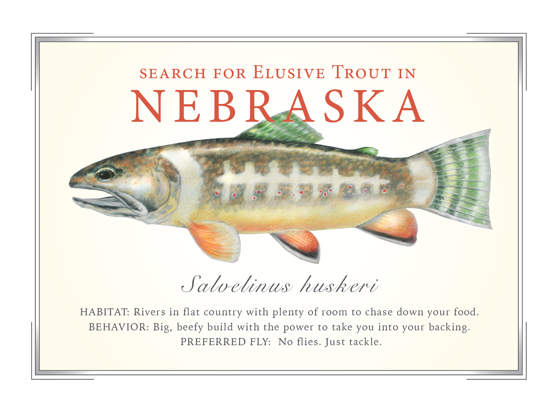 Elusive Trout Prints, Cards and Posters