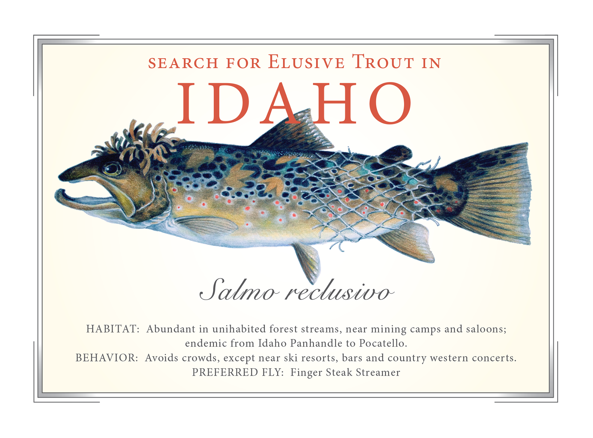 Elusive Trout Prints, Cards and Posters