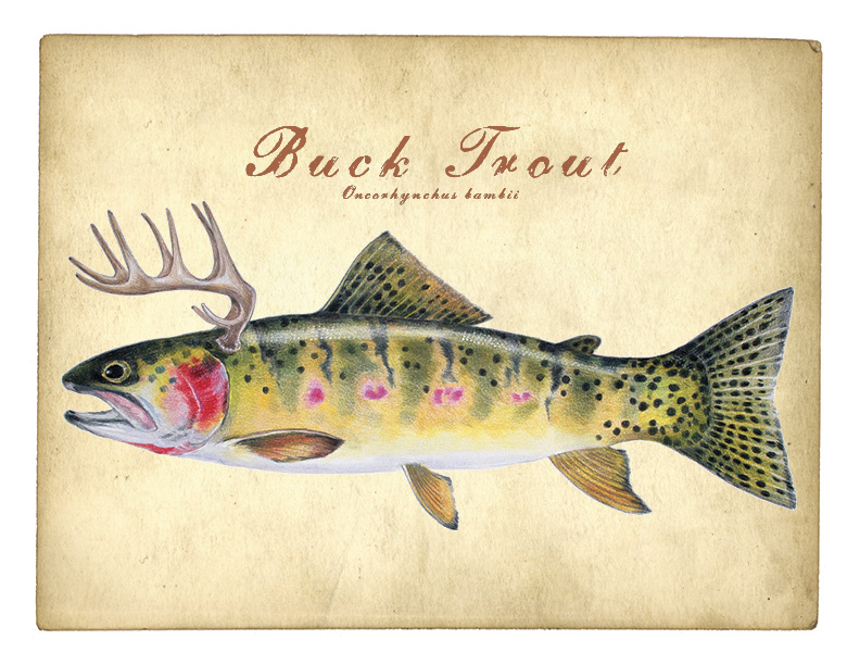 Elusive Trout Prints, Cards and Posters