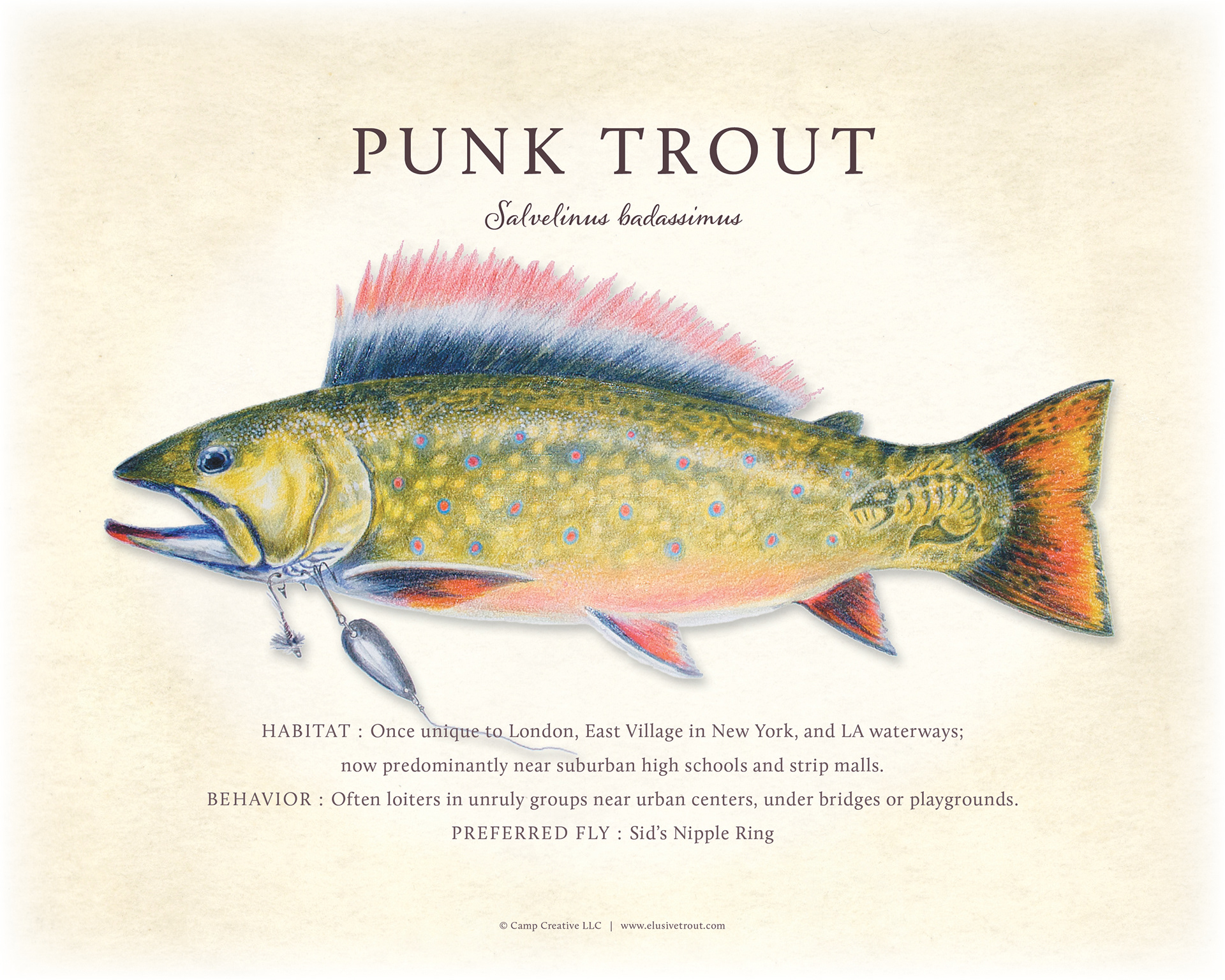 Elusive Trout –  Giclee Print Design for sale, storytelling