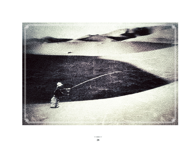 The Search for Elusive Trout Book Design