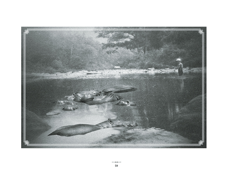 The Search for Elusive Trout Book Design