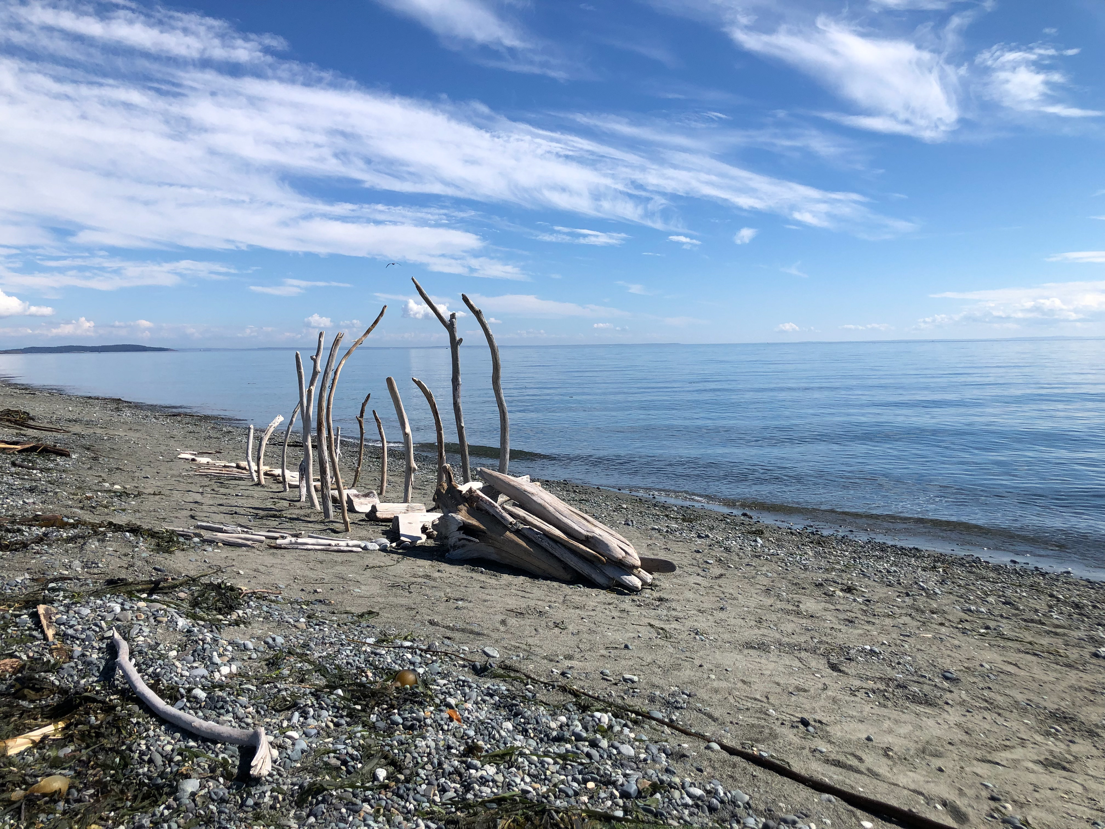 driftwood creation