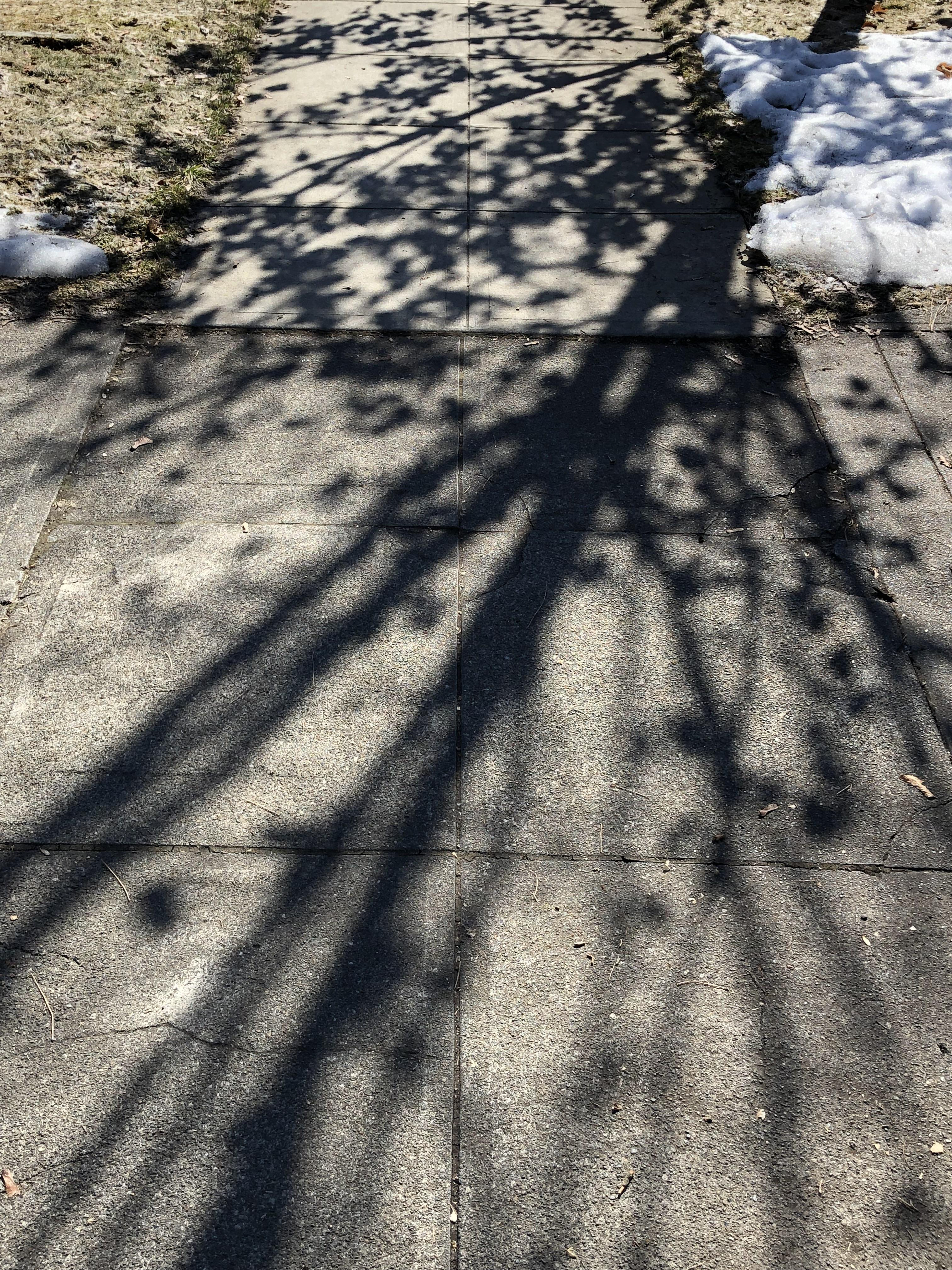 shadows