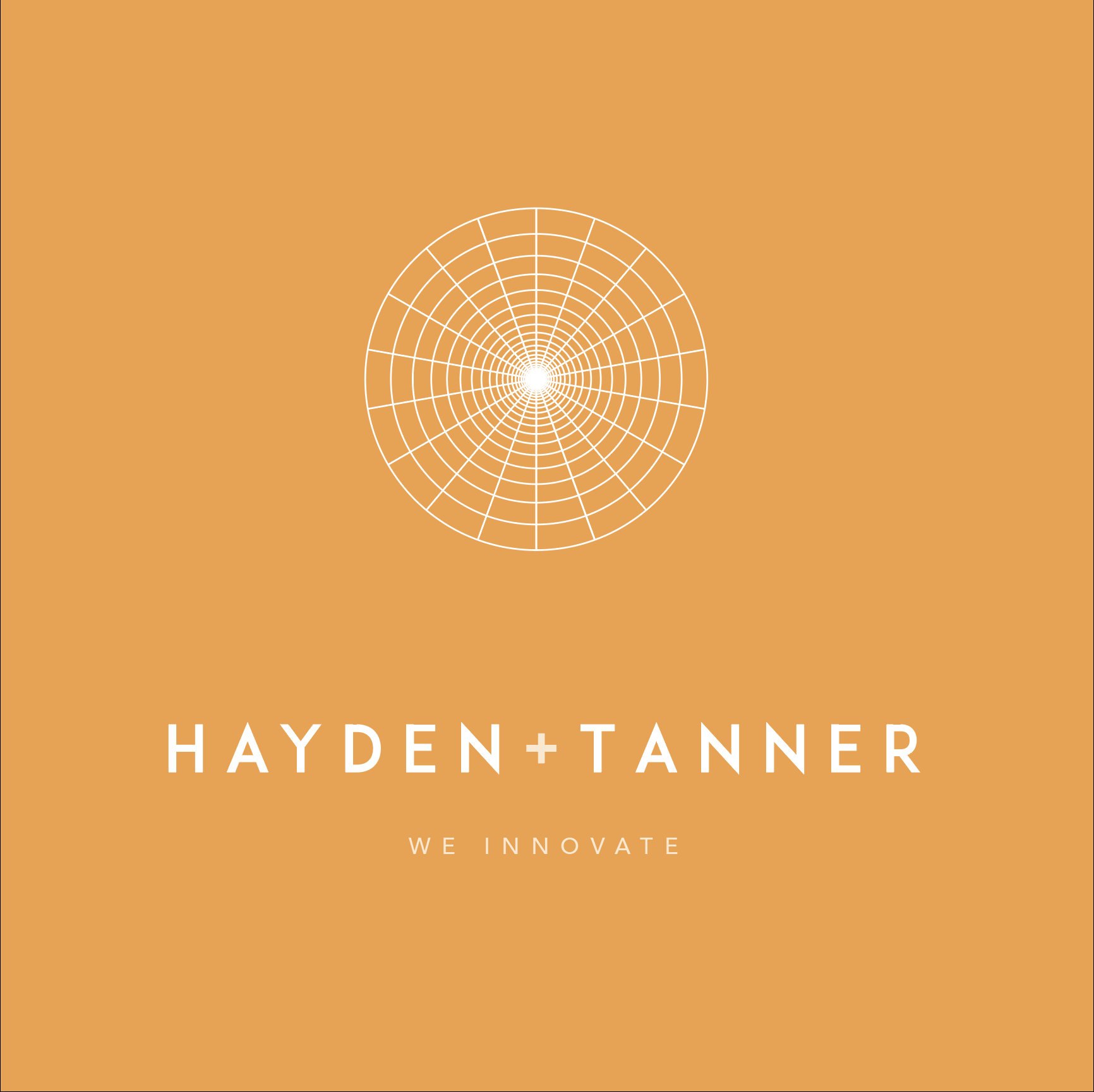 Hayden+Tanner Consulting Art
