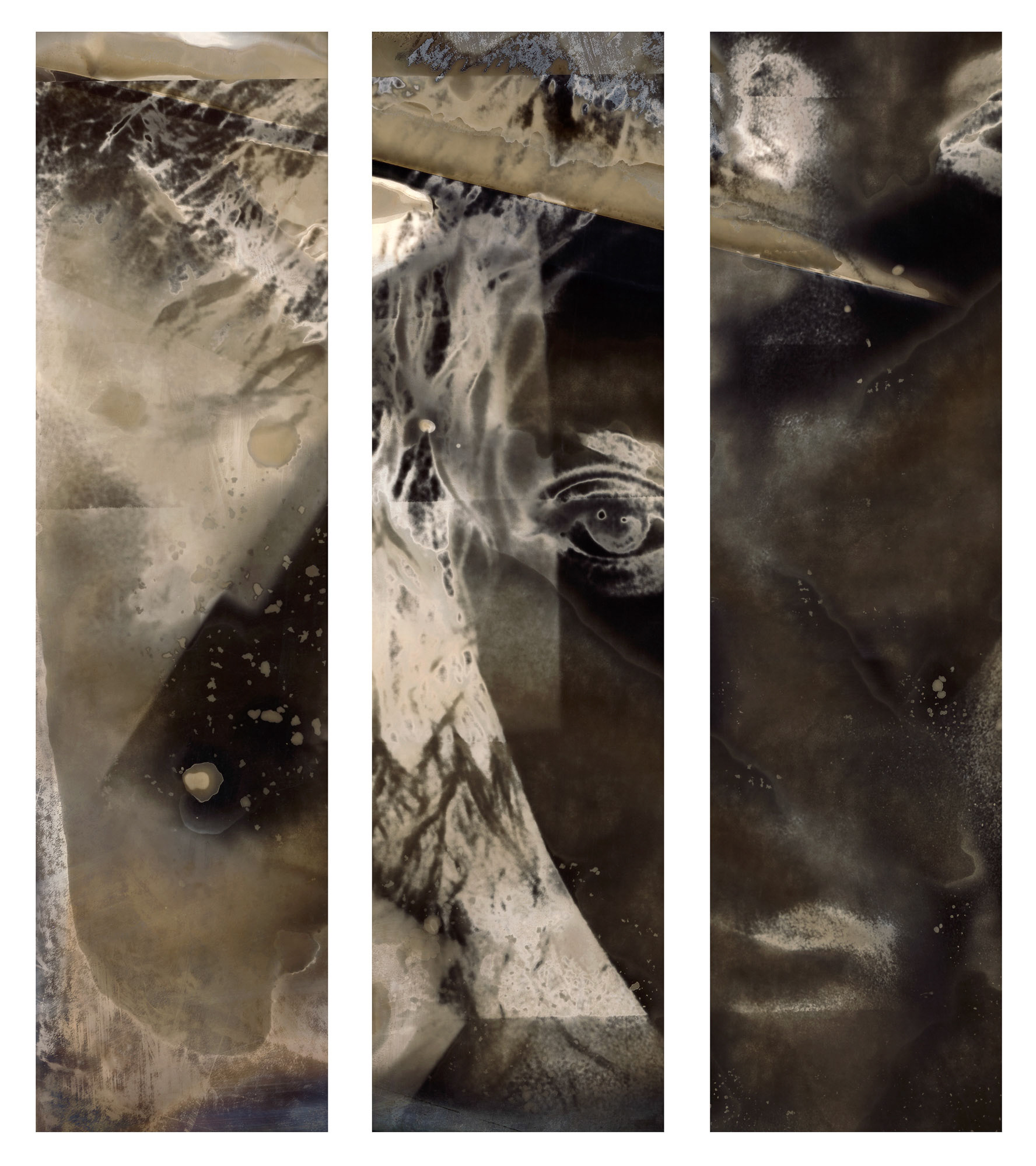 This image is a partially processed discarded silver gelatin photograph reclaimed, appropriated and transformed into this digital file.