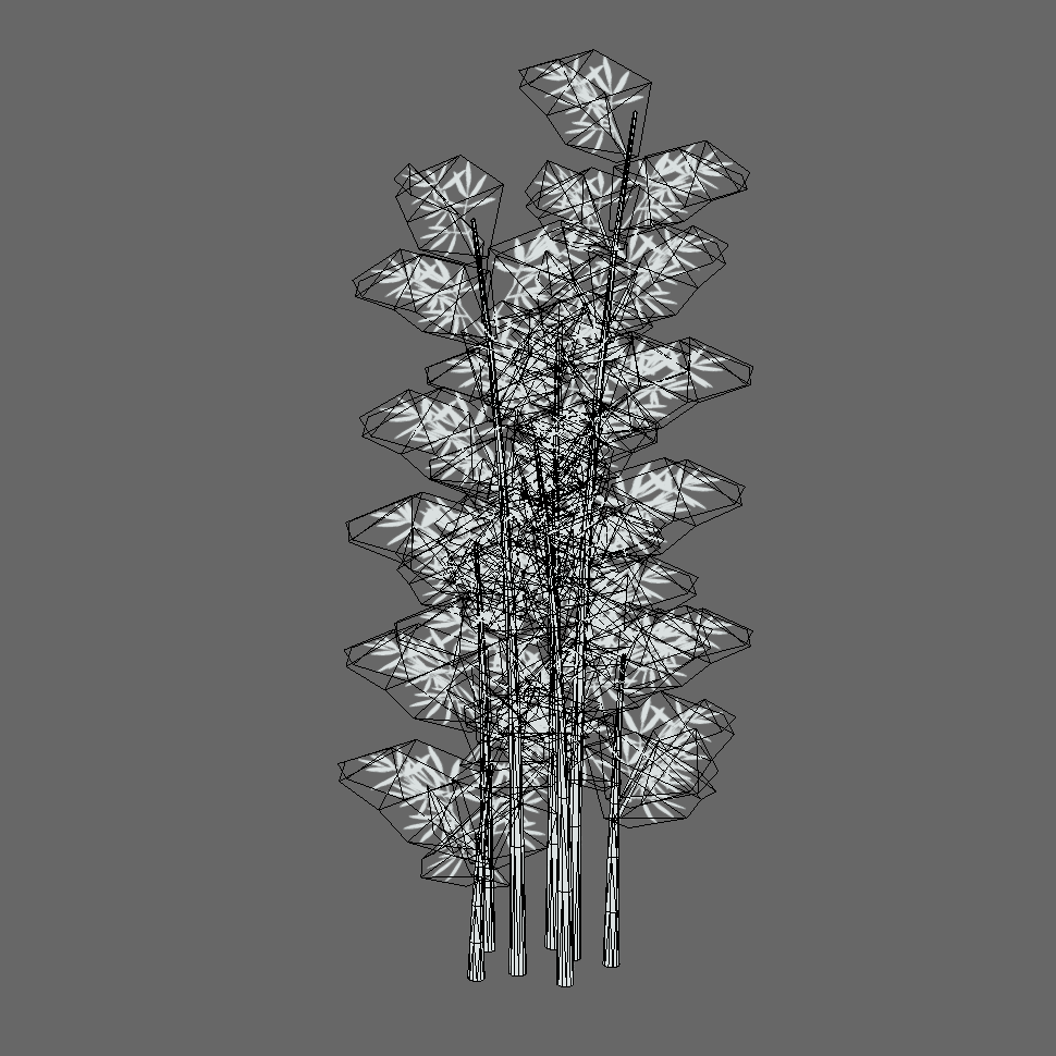 Wire Frame