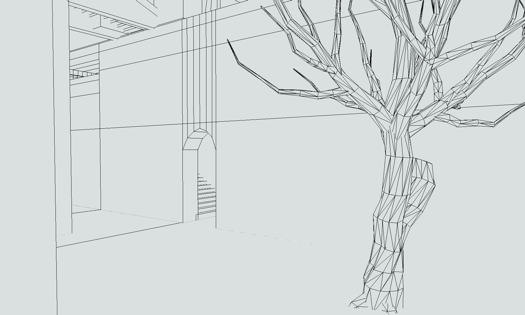 Wire Frame