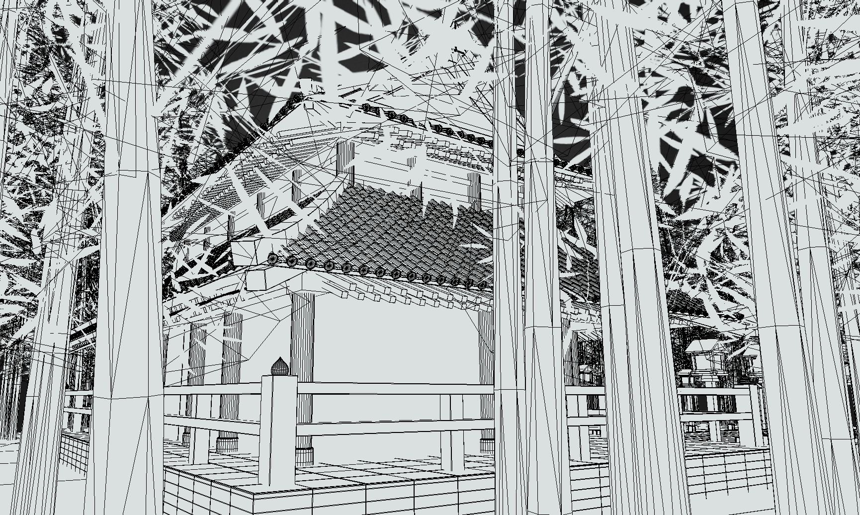 Wire Frame 06