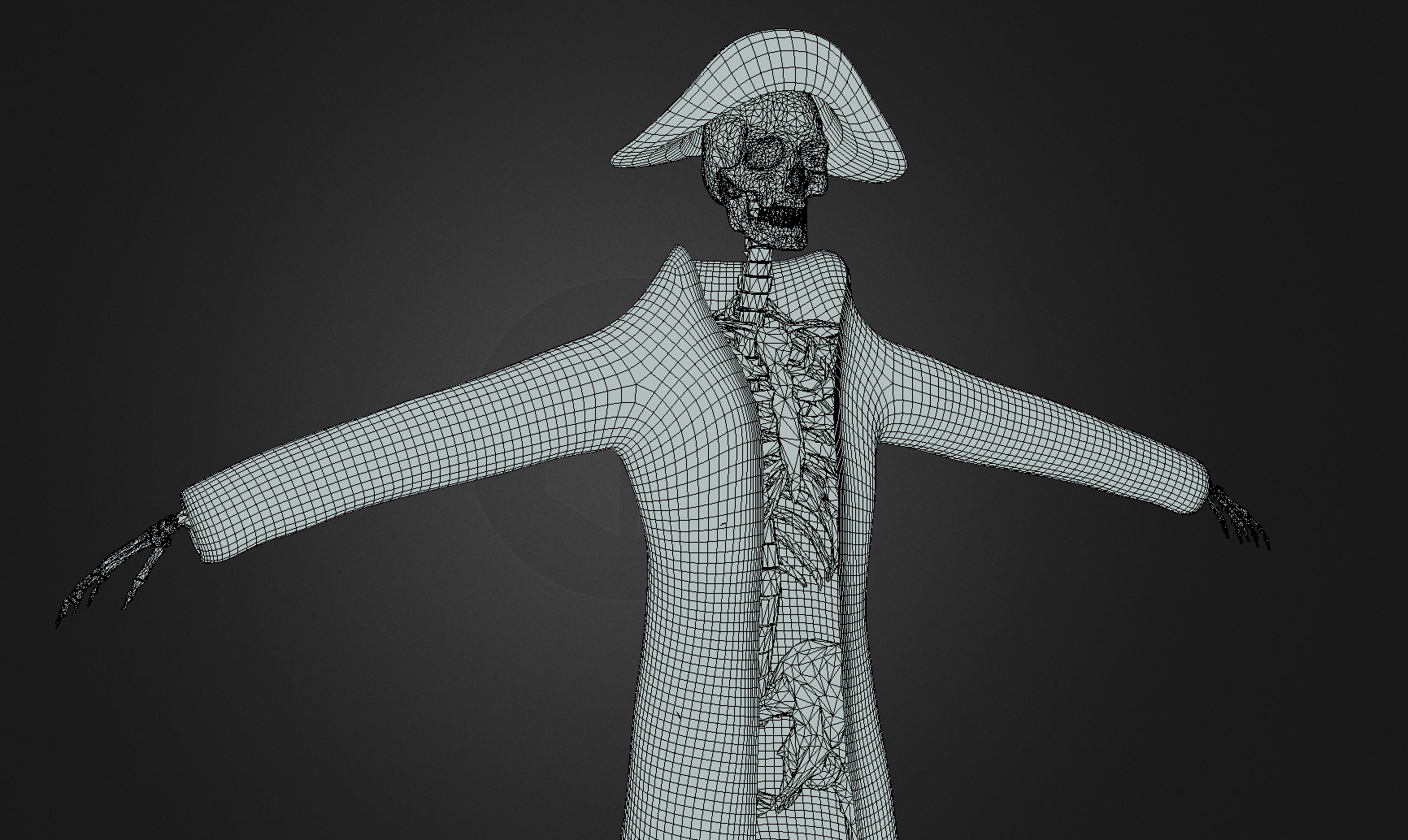 Wire Frame