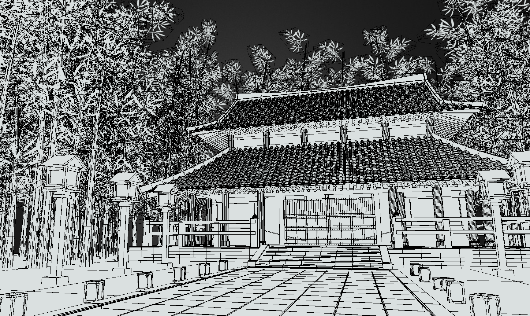 Wire Frame 01