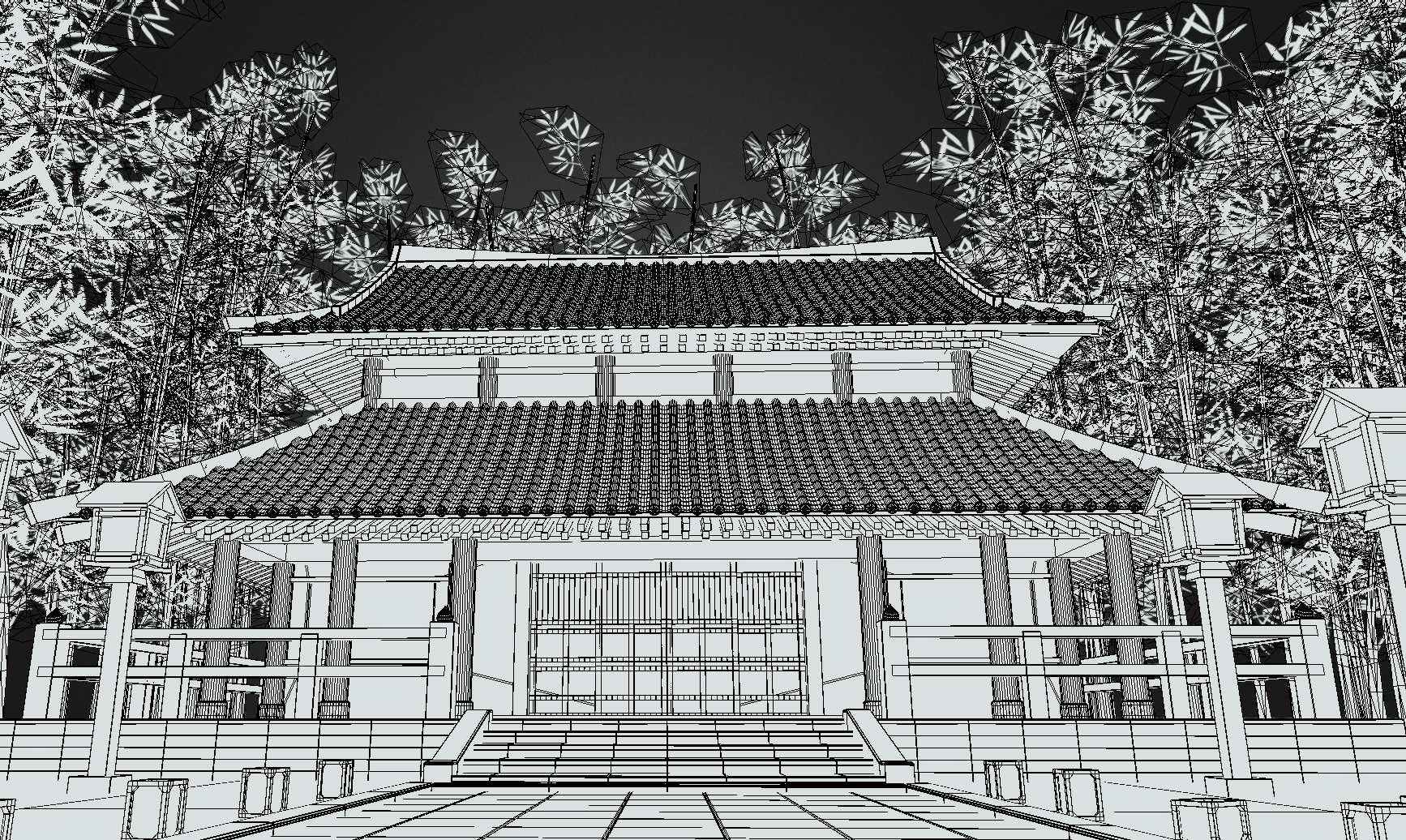 Wire Frame 04