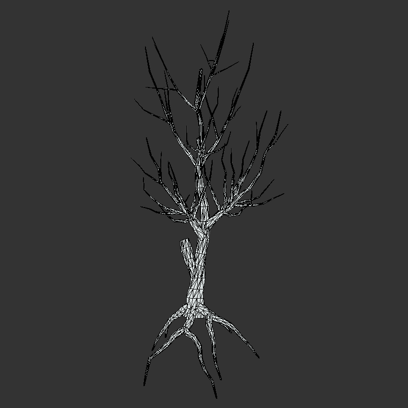 Wire Frame