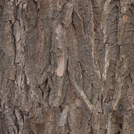 texture 02