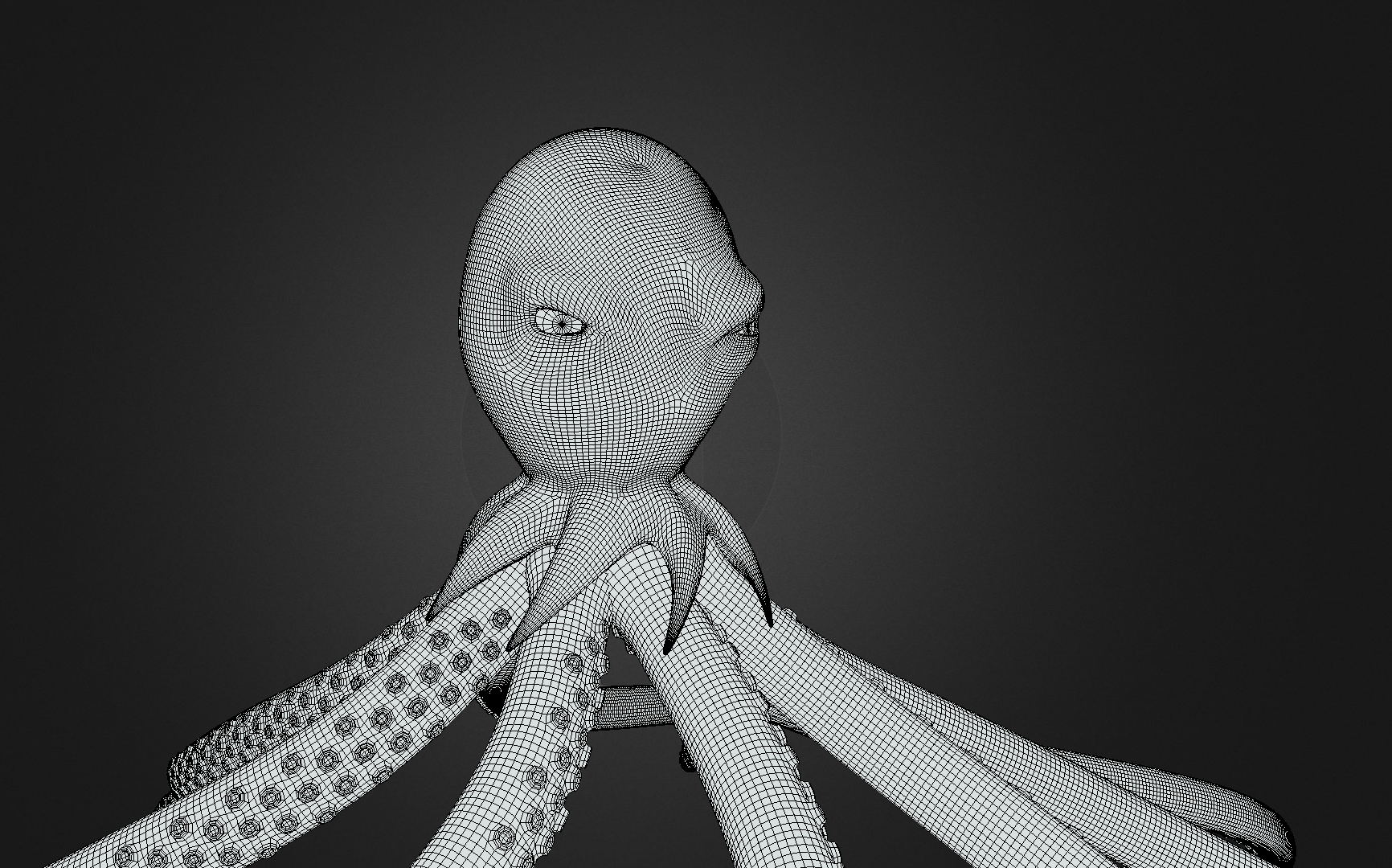 Wire Frame
