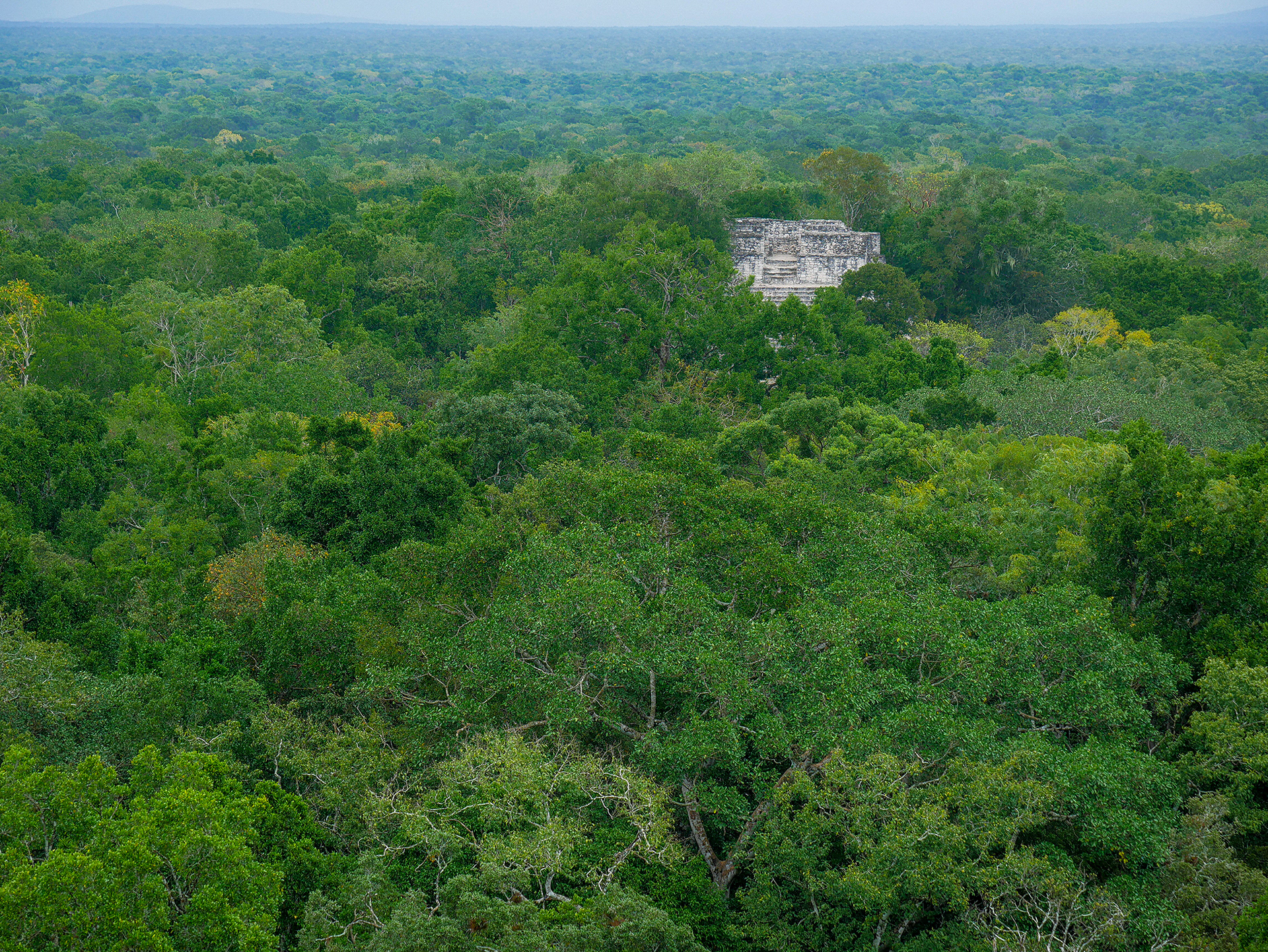 Reserva de la Biósfera Calakmul, Campeche, Mexico