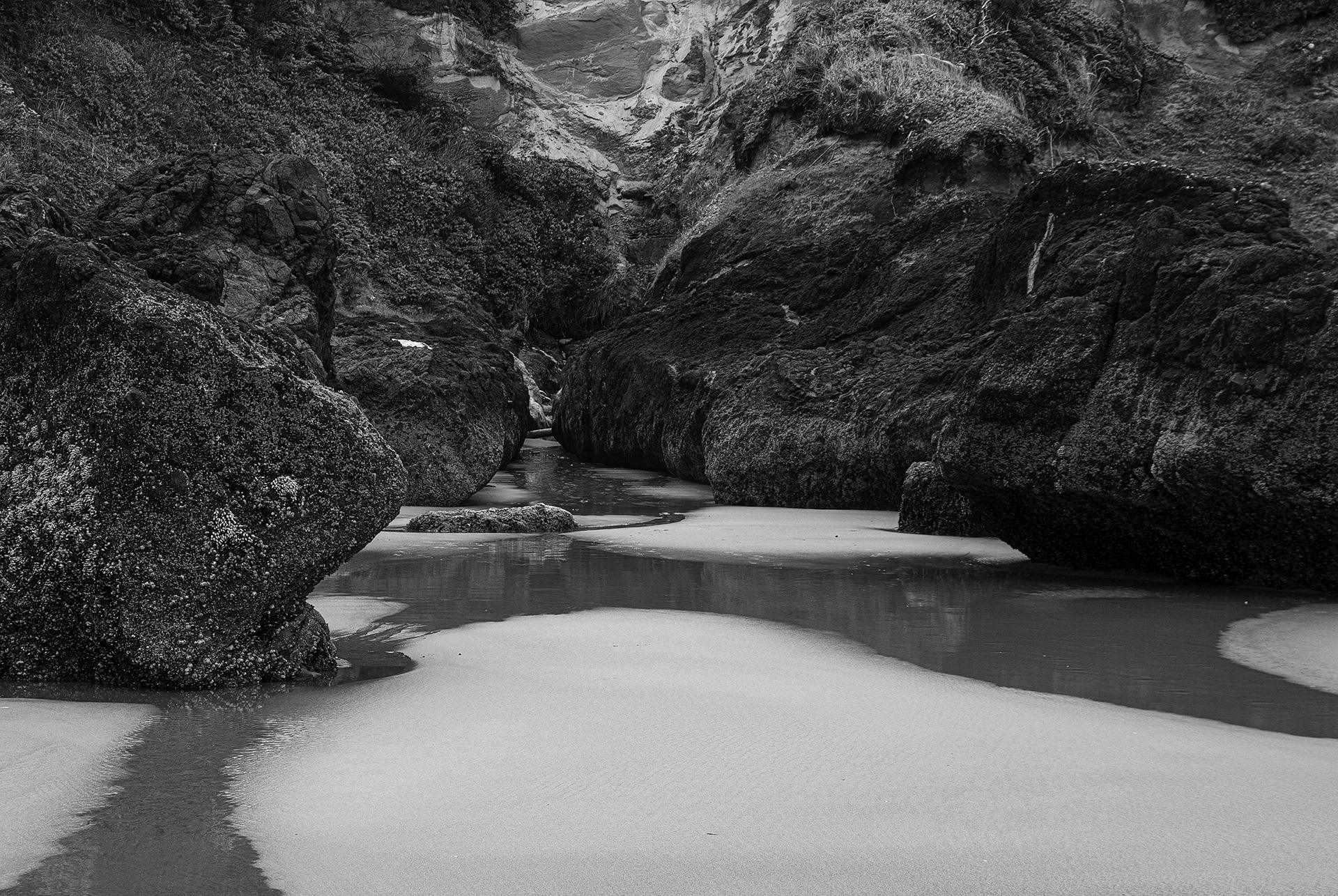 Cleft, Cape Perpetua, Oregon