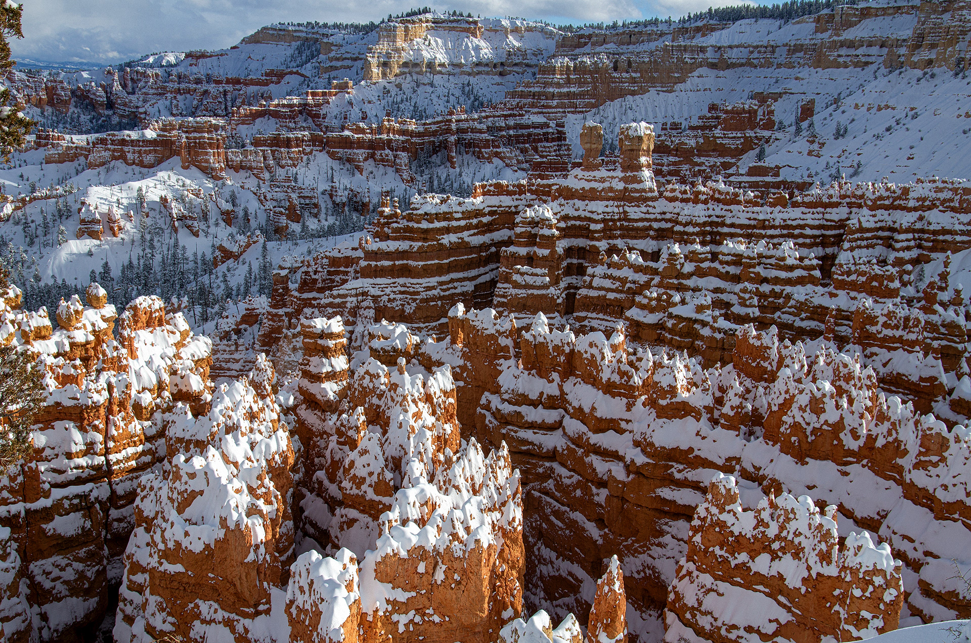 Frosting, Bryce Canyon National Park, Utah