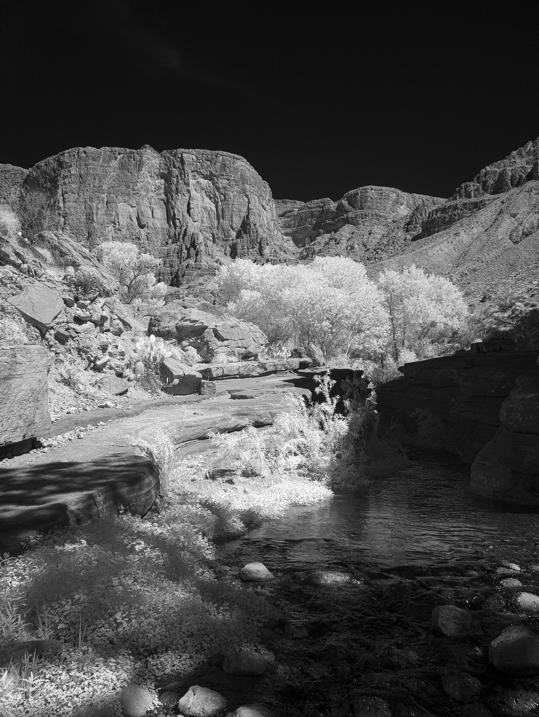 The Patio at Deer Creek, River Mile 137
