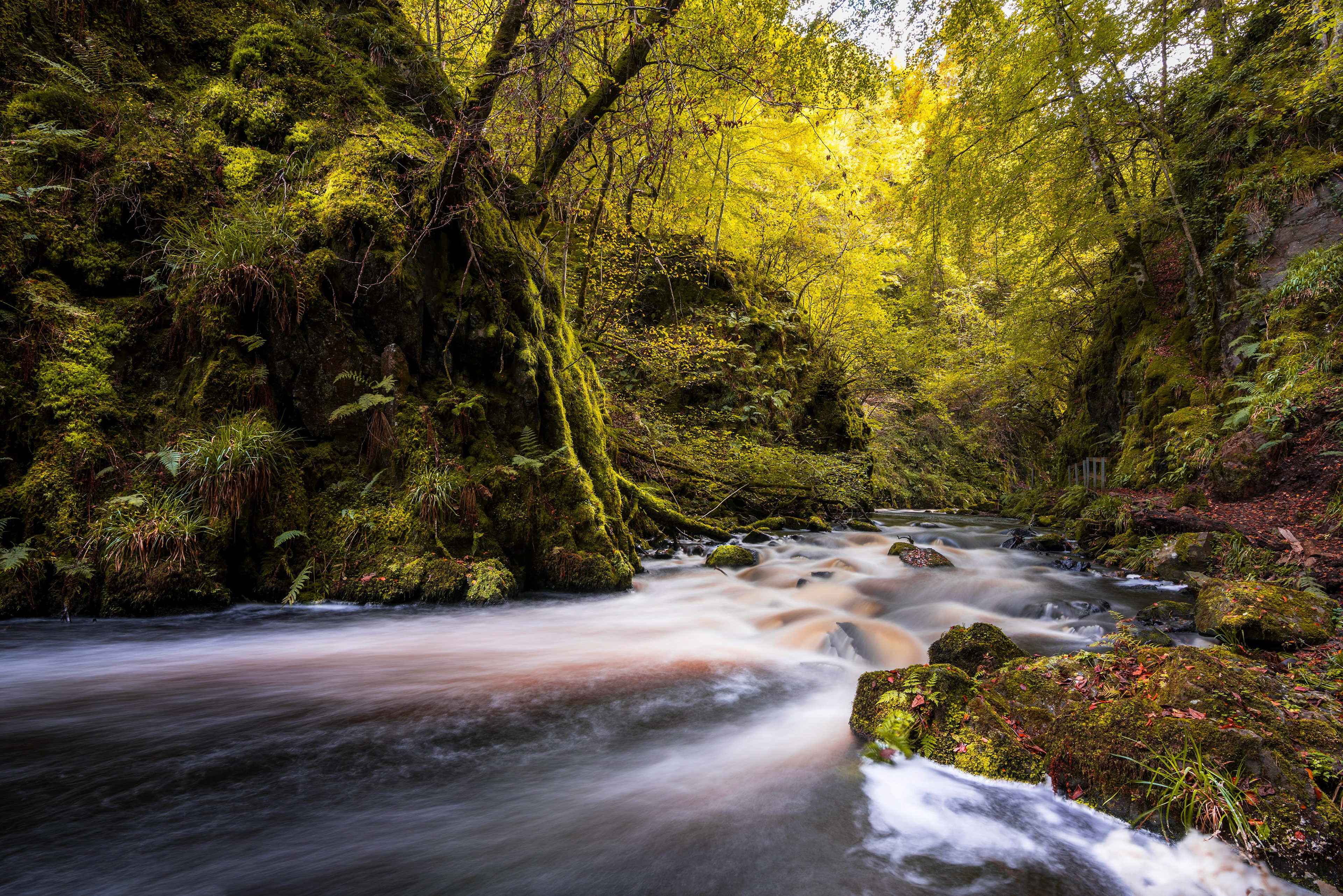 Landscape photography of river Doon in Ayr