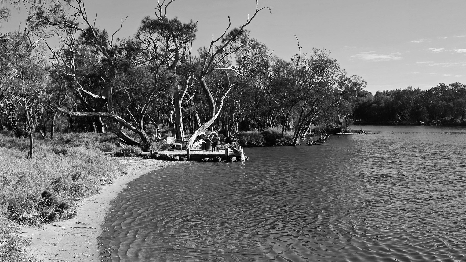 A tranquil black-and-white scene shows a gentle river bend with small ripples lapping a narrow sandy shore. Twisted, windswept trees lean over the water, framing a rustic wooden jetty with a couple of chairs and a barrel. The opposite bank recedes into dense bushland beneath a clear sky, evoking quiet and seclusion.