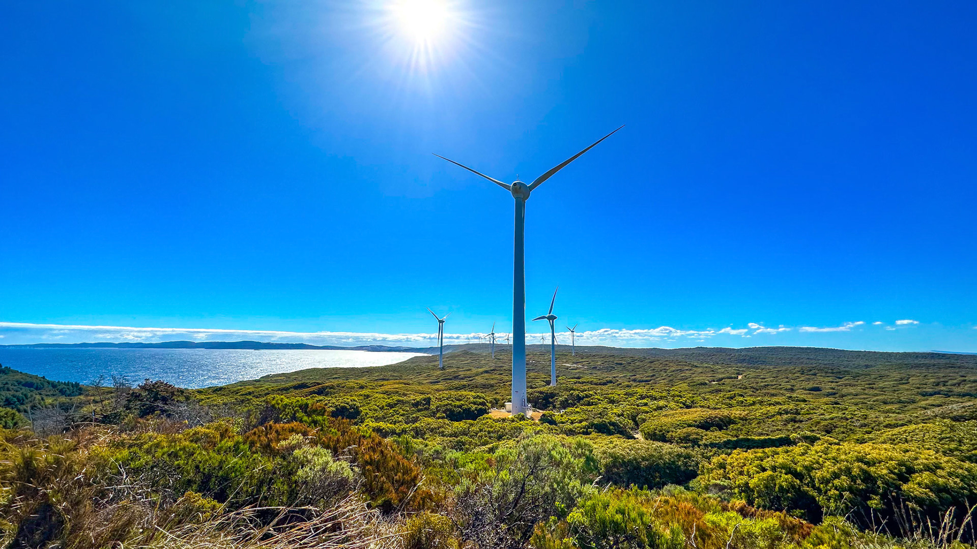 A sunny coastal landscape features wind turbines overlooking the ocean, symbolizing renewable energy and sustainability.