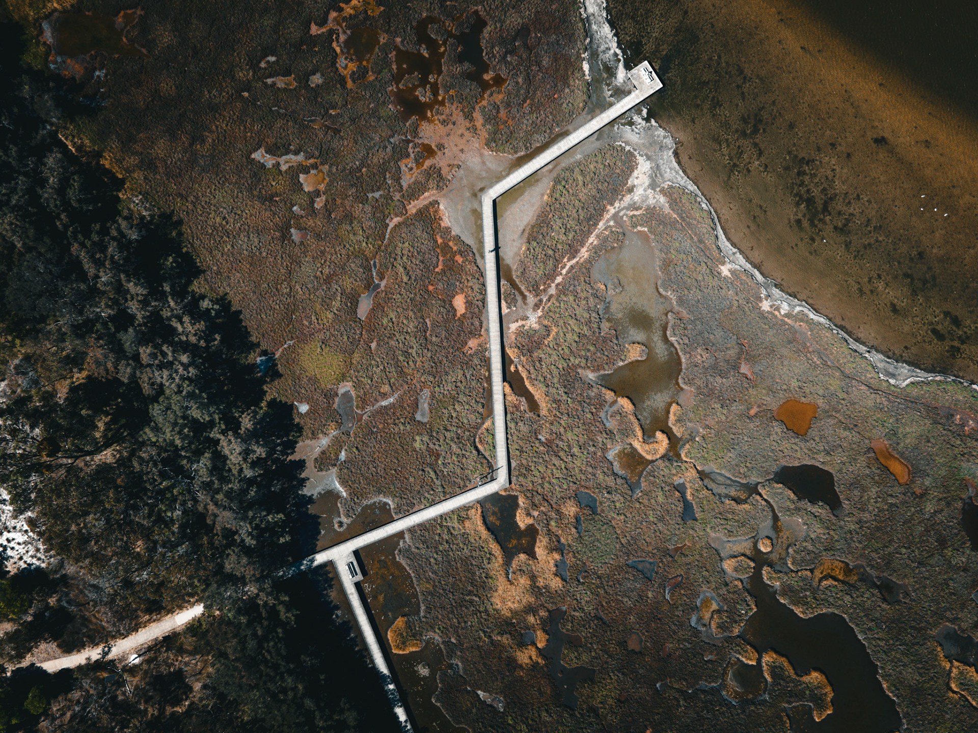 A top-down aerial view of a zigzagging concrete boardwalk and pier cutting across a patchwork coastal marsh. The scene shows shallow tidal pools, sinuous channels and mottled vegetation in brown, green and rust tones, with dense trees bordering the wetland on one side and open shallow water along the shoreline on the other. The composition emphasizes texture, patterns and the human-made path crossing a natural saltmarsh landscape.