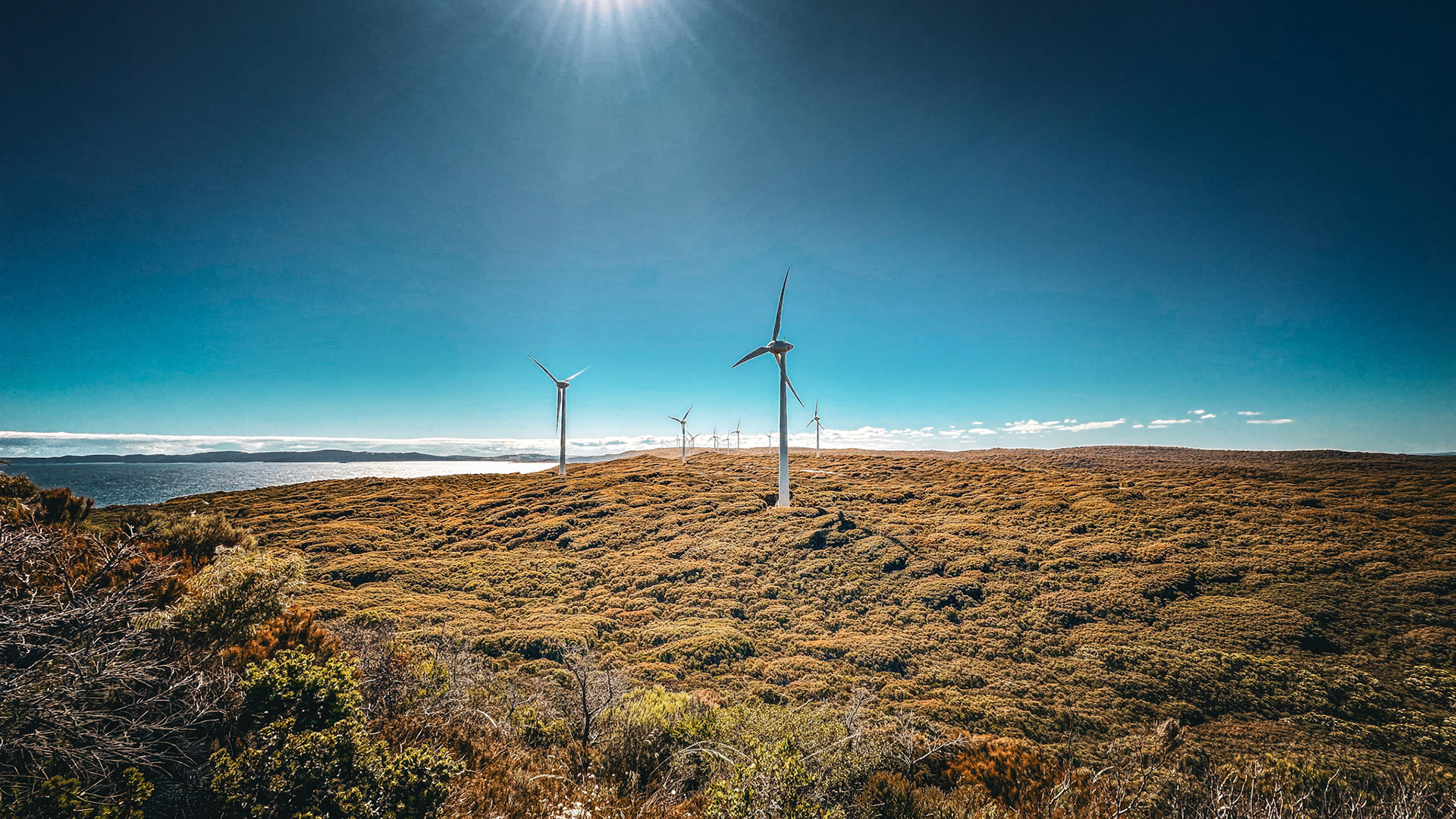 A wind farm features tall turbines on a grassy hill, generating clean energy under a sunny blue sky, showcasing sustainable technology.