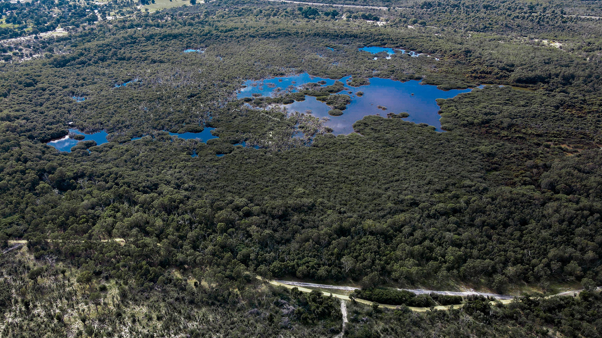 Stunning aerial photograph showcasing a vibrant wetland area filled with lush greenery and reflective water bodies. The image captures the intricate patterns of the wetland, surrounded by rich vegetation, making it a perfect representation of nature's beauty. This stock photo is ideal for environmental themes, landscapes, and conservation projects. Its serene composition invites reflection on the importance of wetlands in our ecosystem.