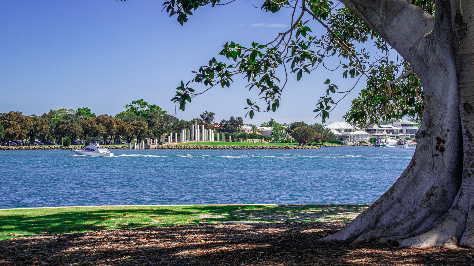 A large tree frames a tranquil waterscape with a boat gliding across the river. The scene reflects leisure and outdoor lifestyle.