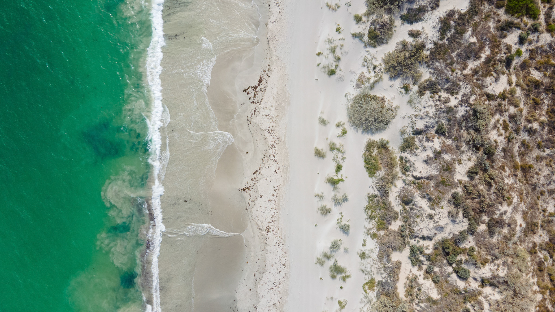 An aerial perspective showcases the serene meeting of ocean waves and sandy beach, highlighting the beauty of coastal ecosystems.