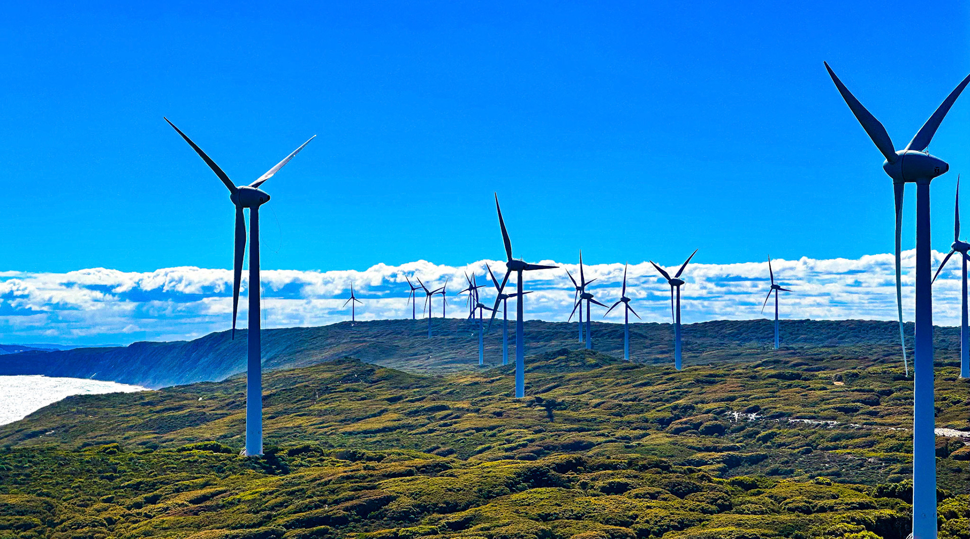 A vast wind farm with numerous wind turbines harnesses wind for renewable energy. The scene reflects sustainability and environmental responsibility.