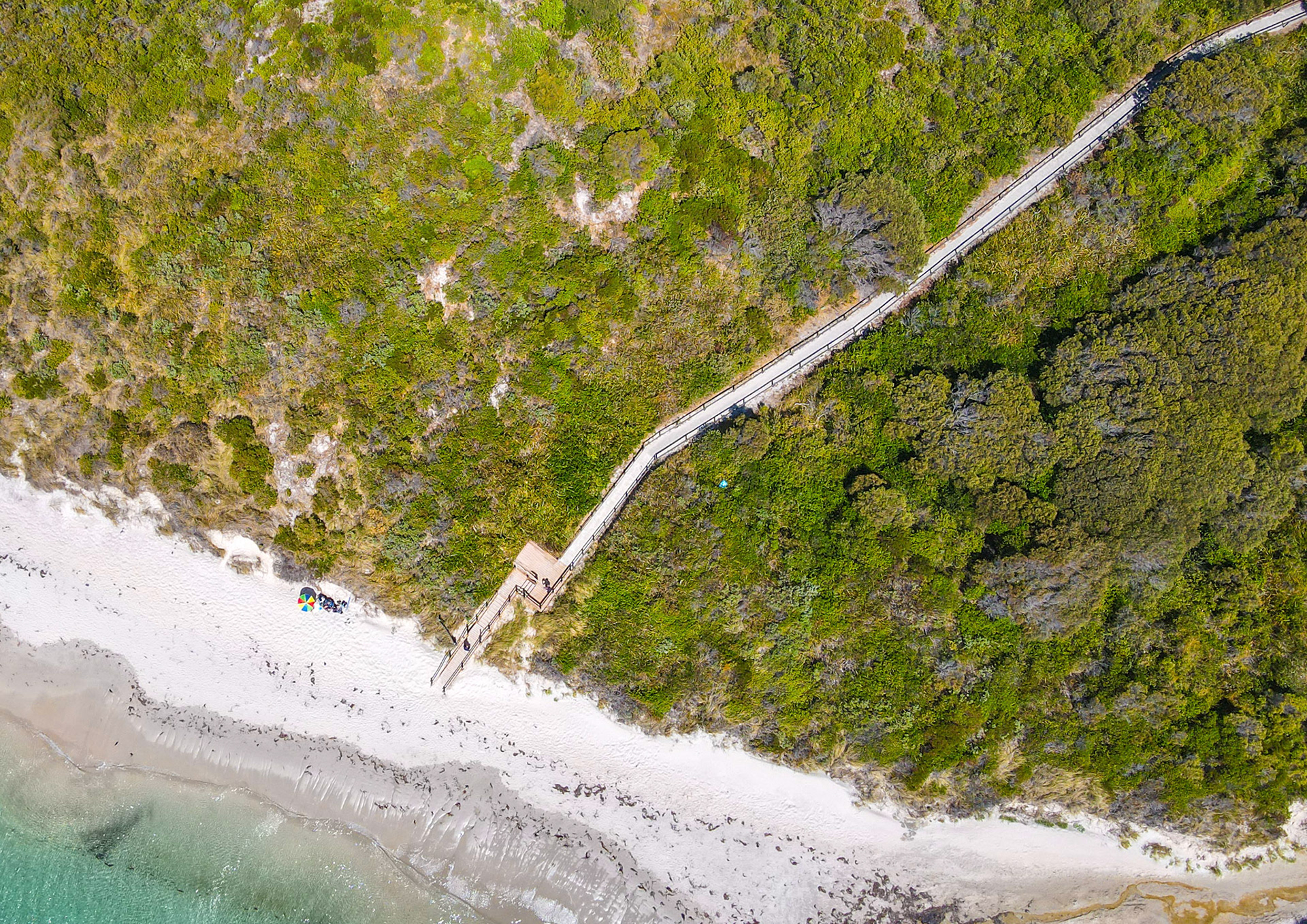 Discover a tranquil beachside escape featuring lush vegetation, a scenic boardwalk, and clear turquoise waters inviting exploration.