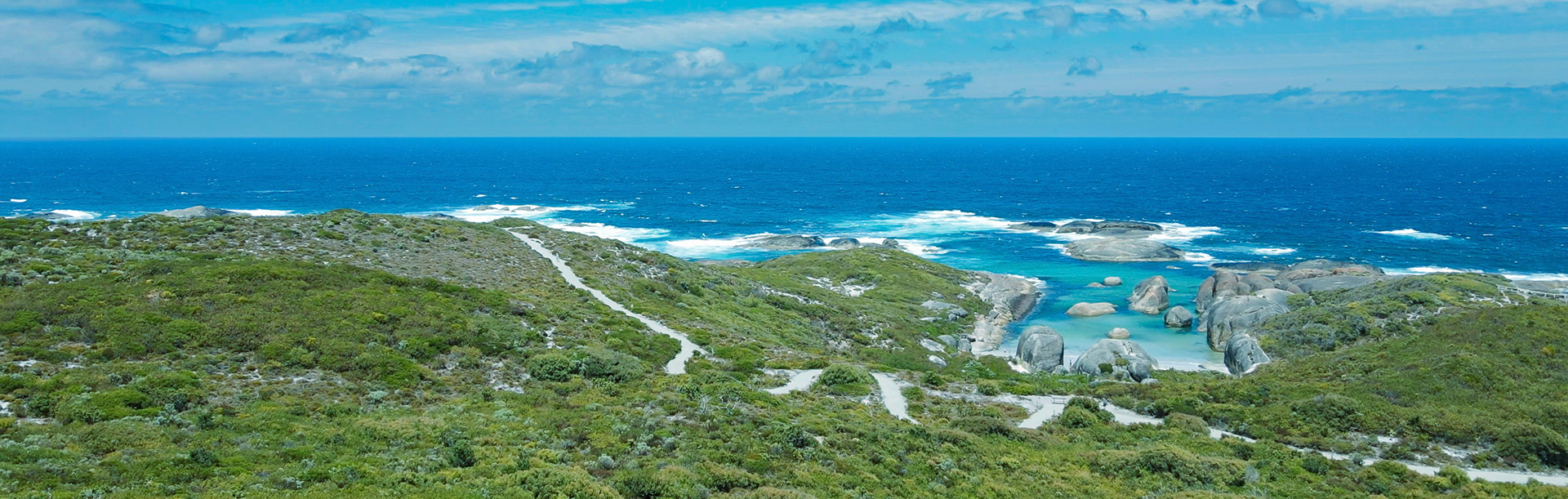 A winding path through lush vegetation leads to the vibrant blue ocean. Scenic views and crashing waves create a serene atmosphere.