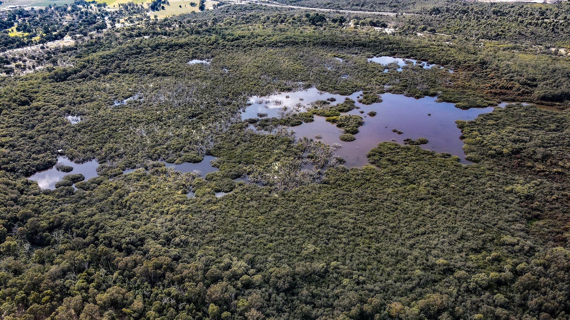 This stunning aerial photograph captures a vibrant wetland area, showcasing the lush greenery and tranquil water bodies that characterize these unique ecosystems. The image highlights the intricate patterns of the vegetation along with reflections in the water, creating a serene and natural landscape. This captivating view is ideal for projects focused on environmental conservation, nature, ecology, and outdoor adventures. The rich diversity of flora depicted illustrates the importance of wetlands in biodiversity and habitat preservation.