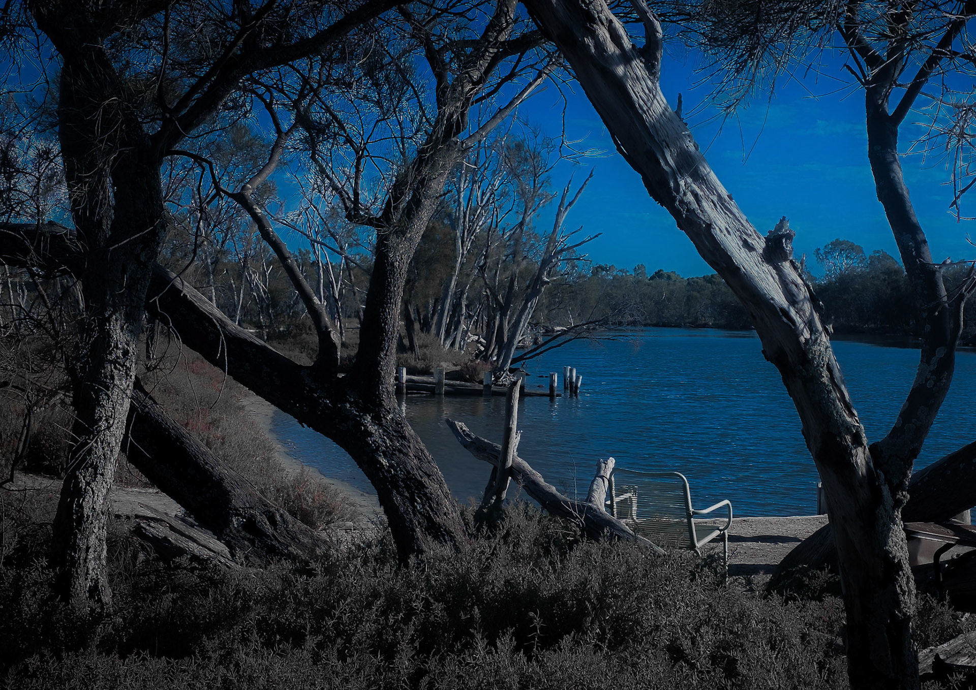 A quiet riverside scene framed by gnarled tree trunks and branches. A simple metal bench rests on a small landing at the water’s edge, with weathered posts and driftwood jutting from the calm blue surface. The opposite bank is lined with dense trees beneath a deep, clear sky, creating a moody, secluded atmosphere.