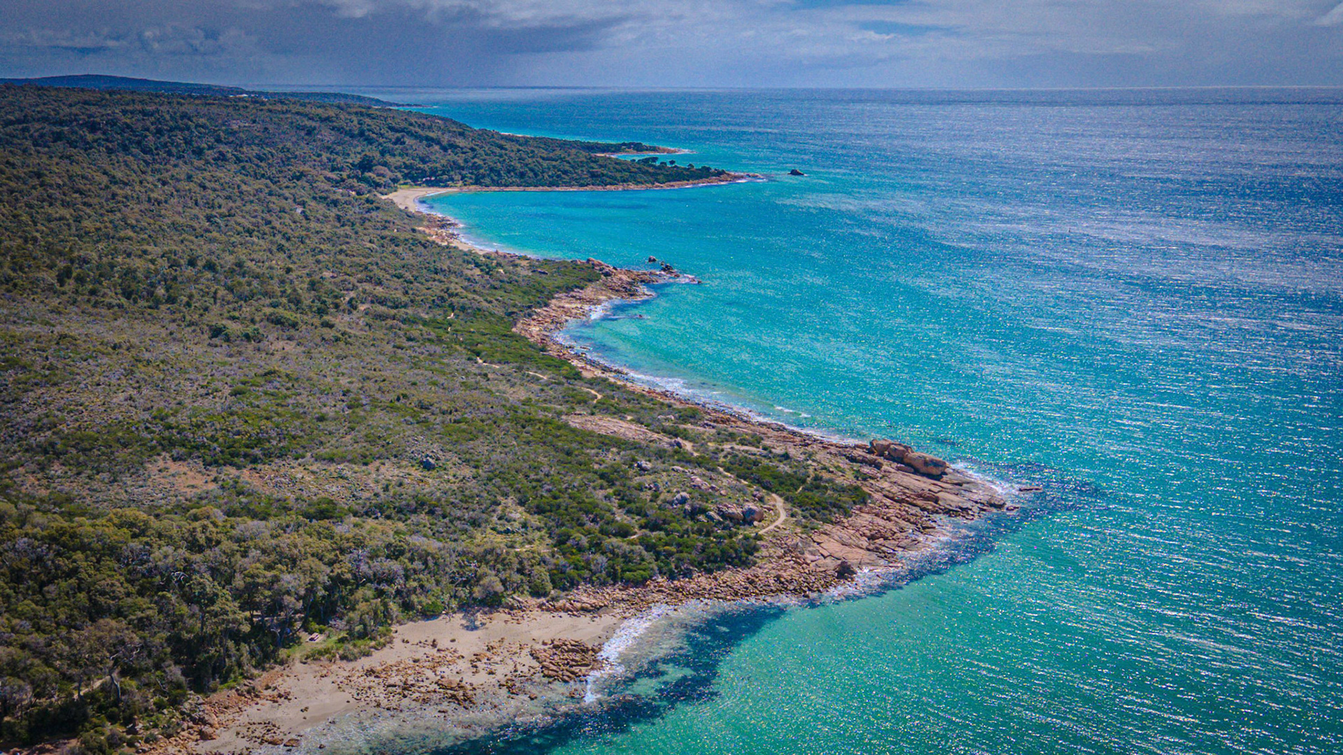 A stunning aerial view of a pristine coastline showcasing vibrant turquoise waters and lush green forests. The rocky shoreline adds texture and contrast, while the expansive horizon provides a sense of tranquility and escape. Ideal for travel, nature, and coastal imagery.