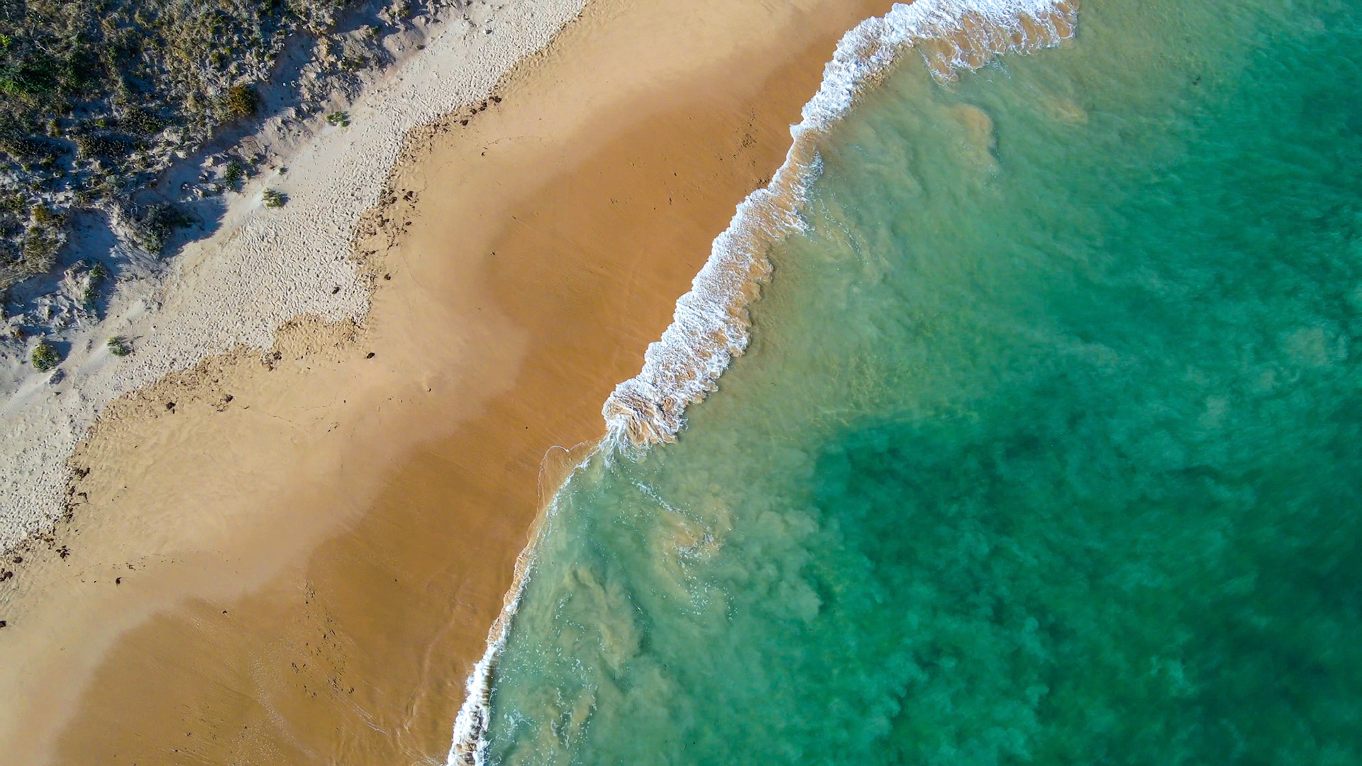 An aerial view showcases the serene meeting of sandy beach and turquoise ocean waves, highlighting nature's tranquil beauty.