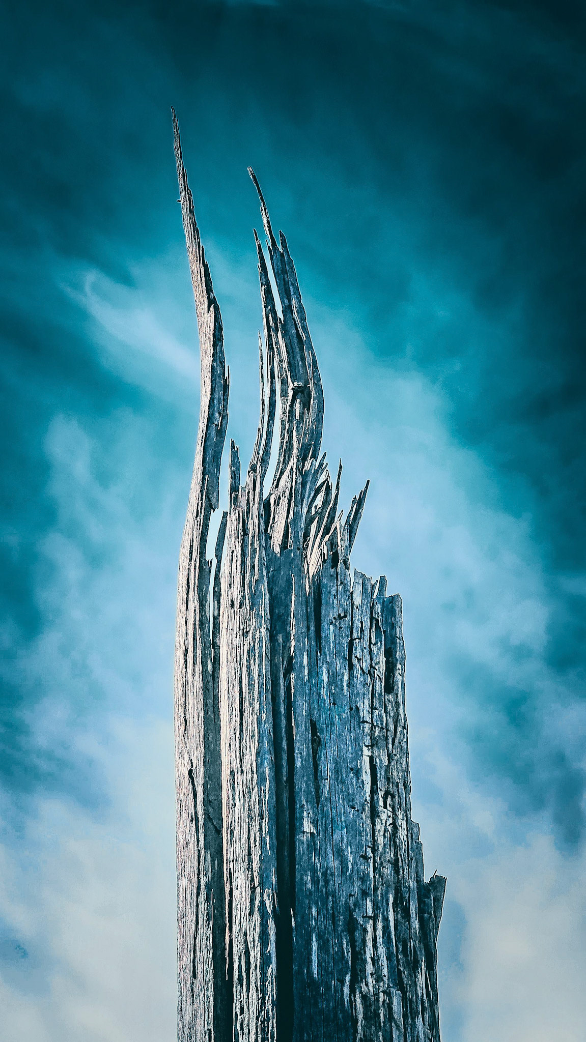 A striking image of a weathered tree trunk reaching upwards against a dramatic sky. The jagged branches create a dynamic contrast with the smooth cloud formations in the background, evoking feelings of resilience and natural beauty. Ideal for themes related to nature, wilderness, and environmental elements.