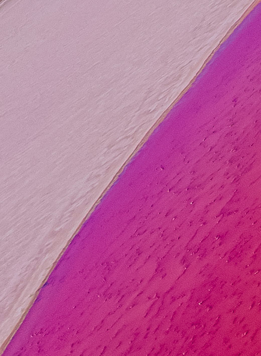 This abstract aerial view showcases the contrast of a pink surface and magenta water, highlighting natural beauty and texture.